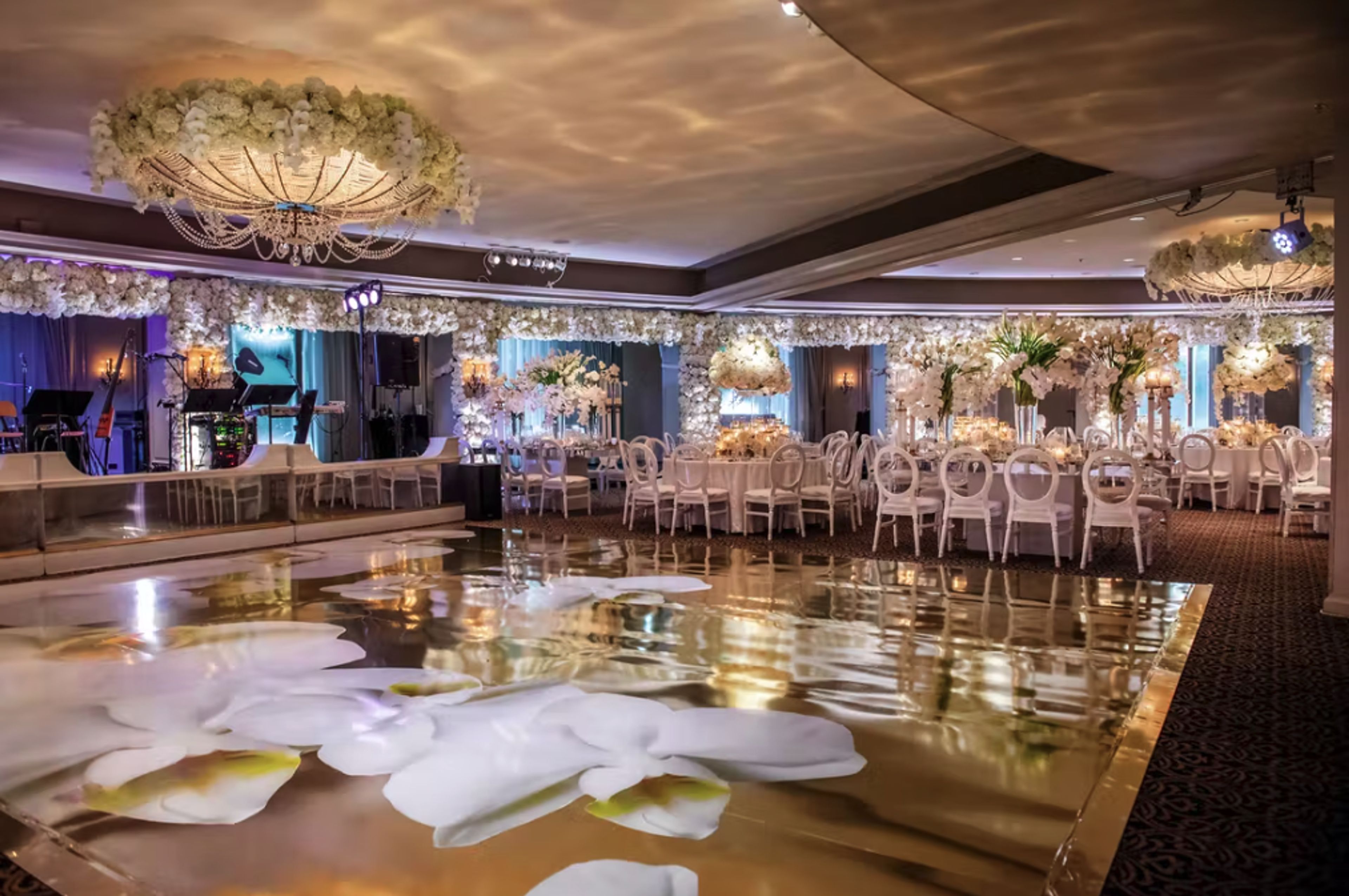 Cover photo of Plants n’ Petals