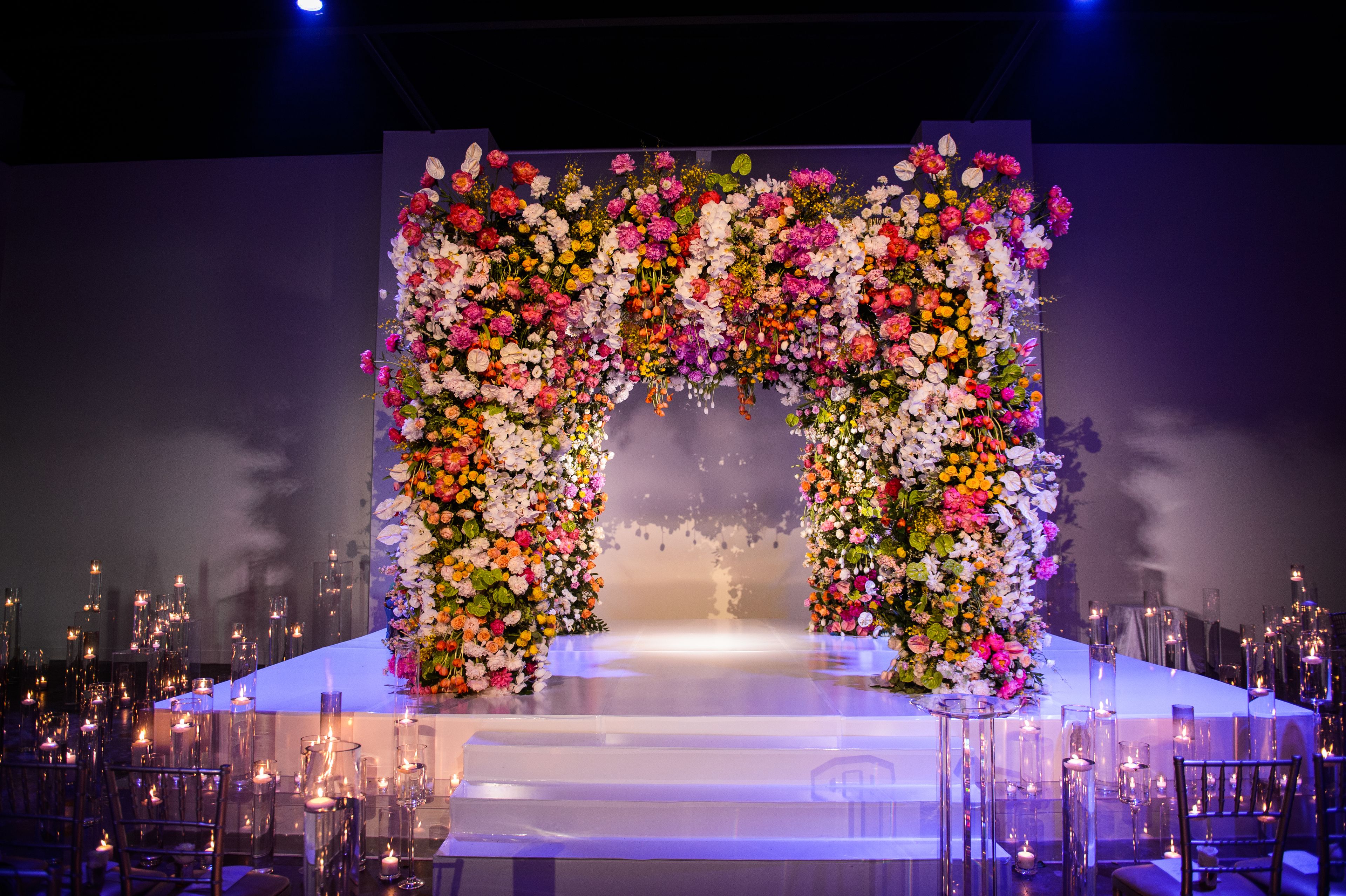 Cover photo of Plants n’ Petals