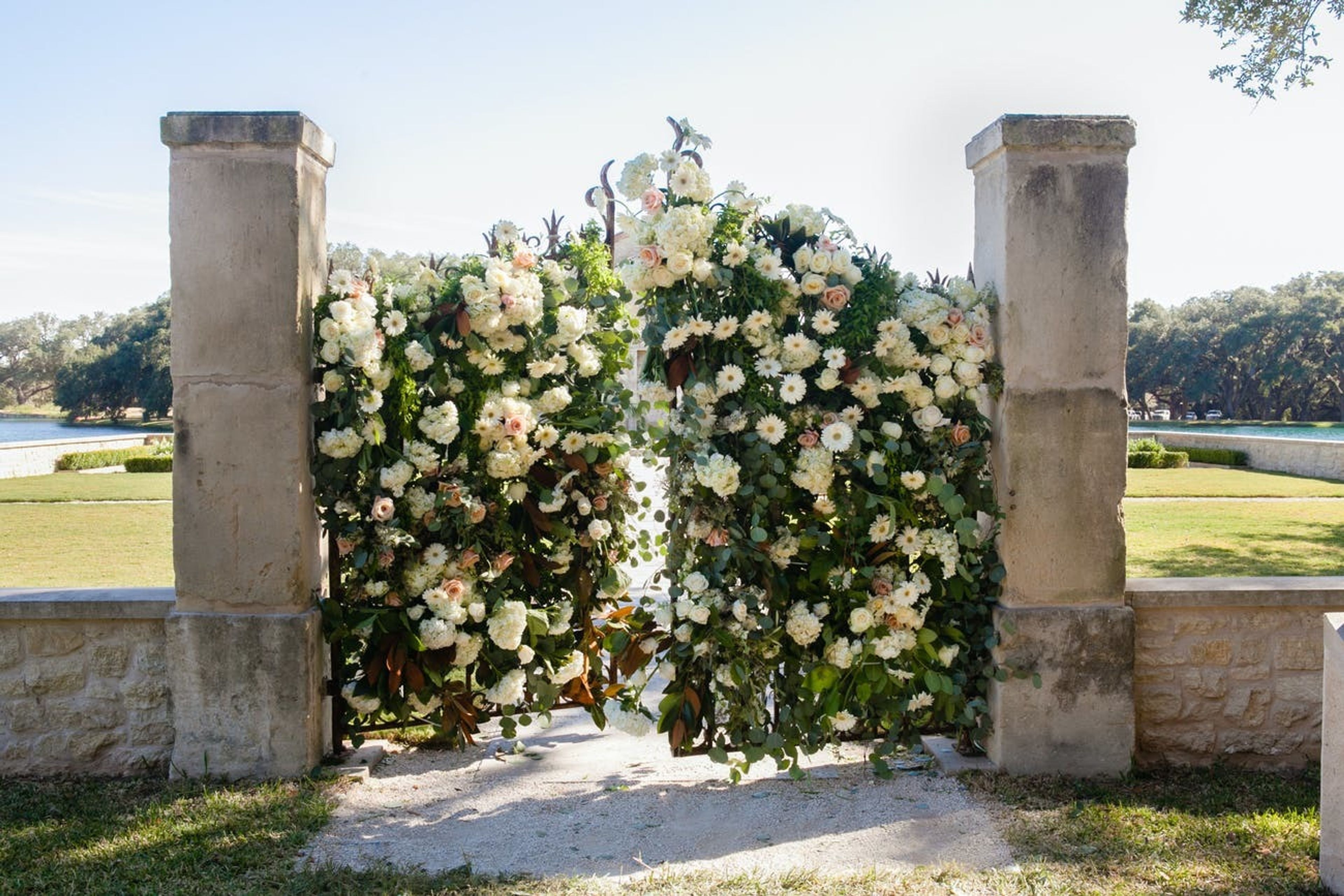 Cover photo of Plants n’ Petals