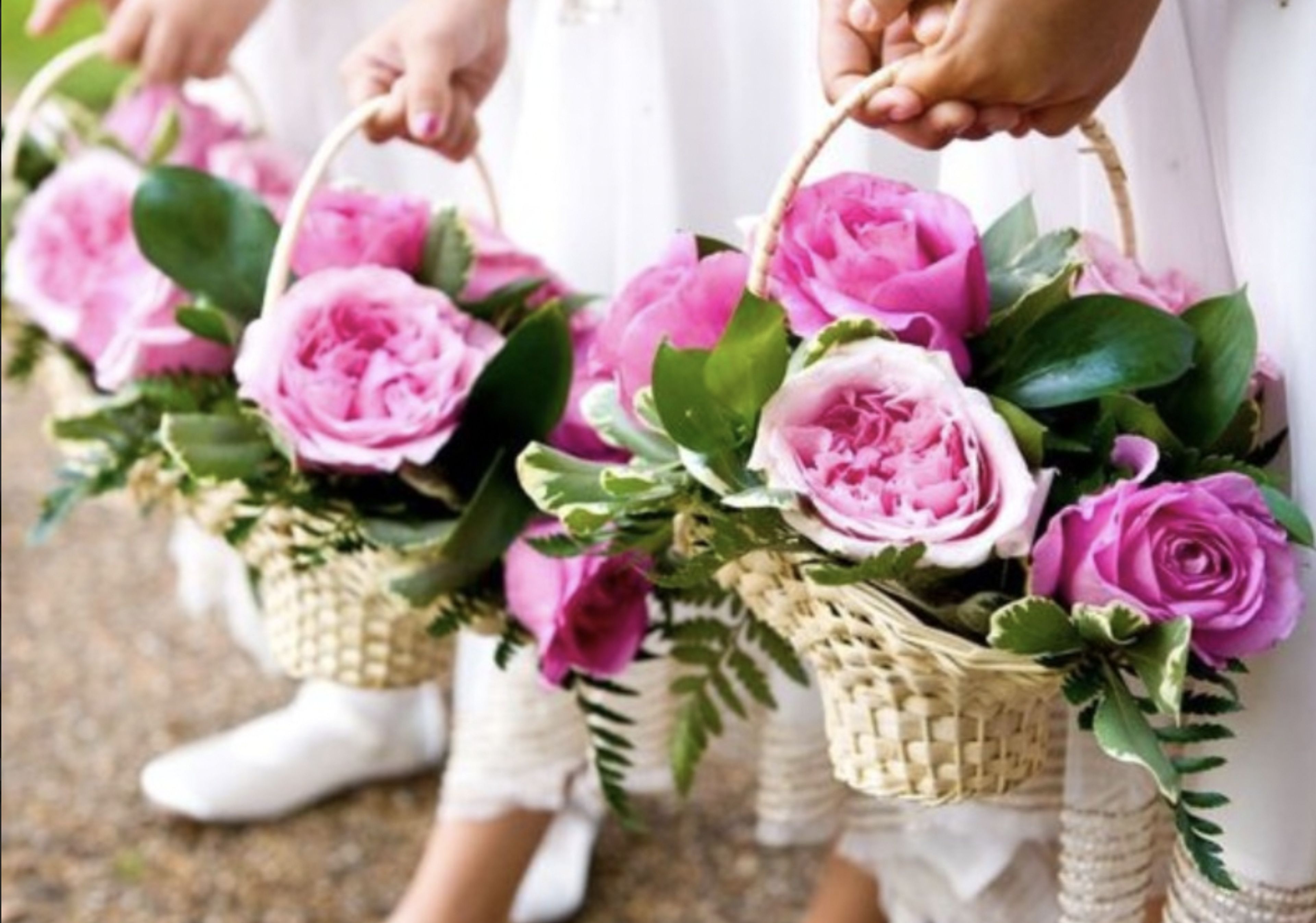 Cover photo of Bloom Magic Weddings