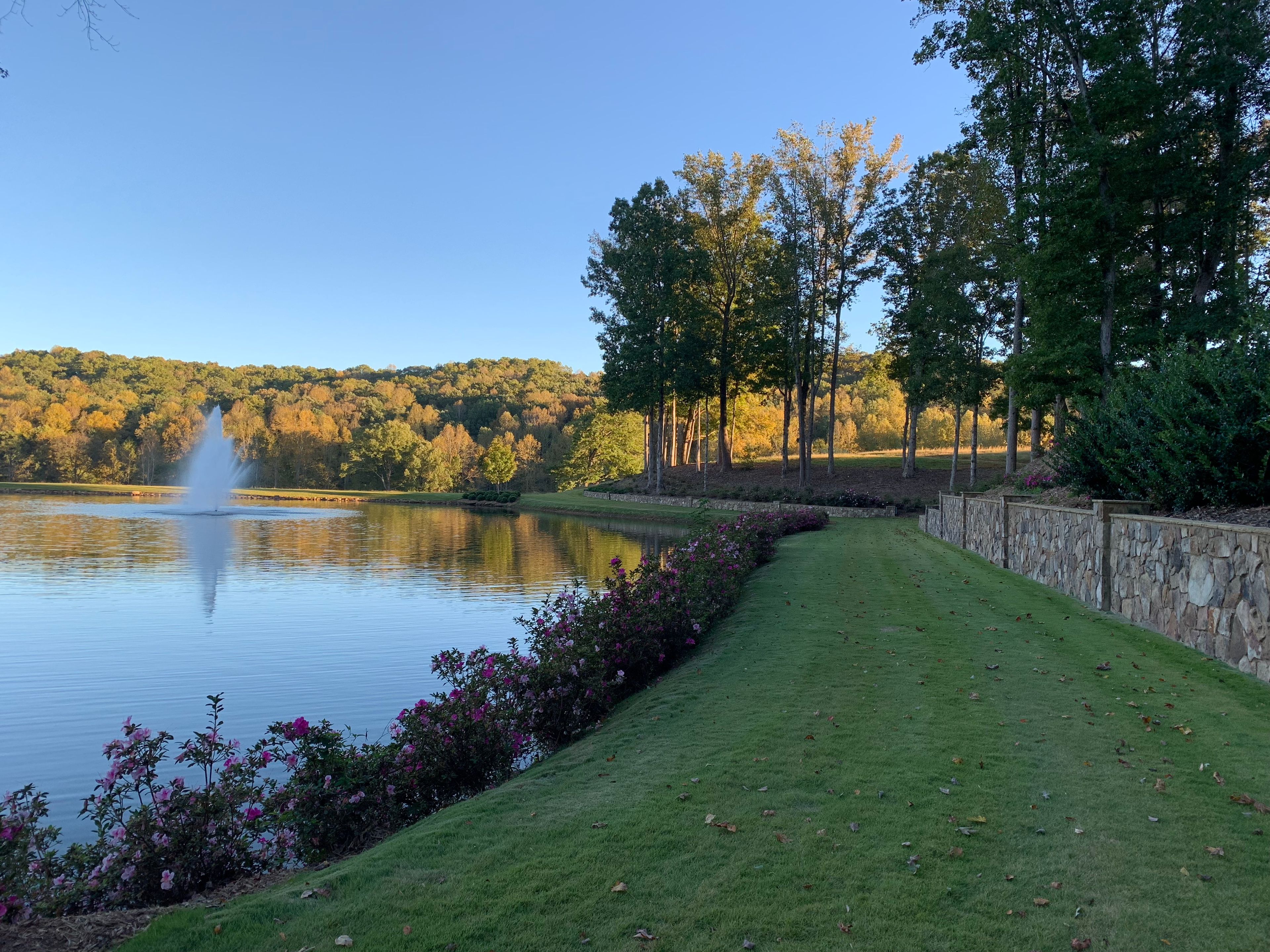 Cover photo of The Greystone Estate