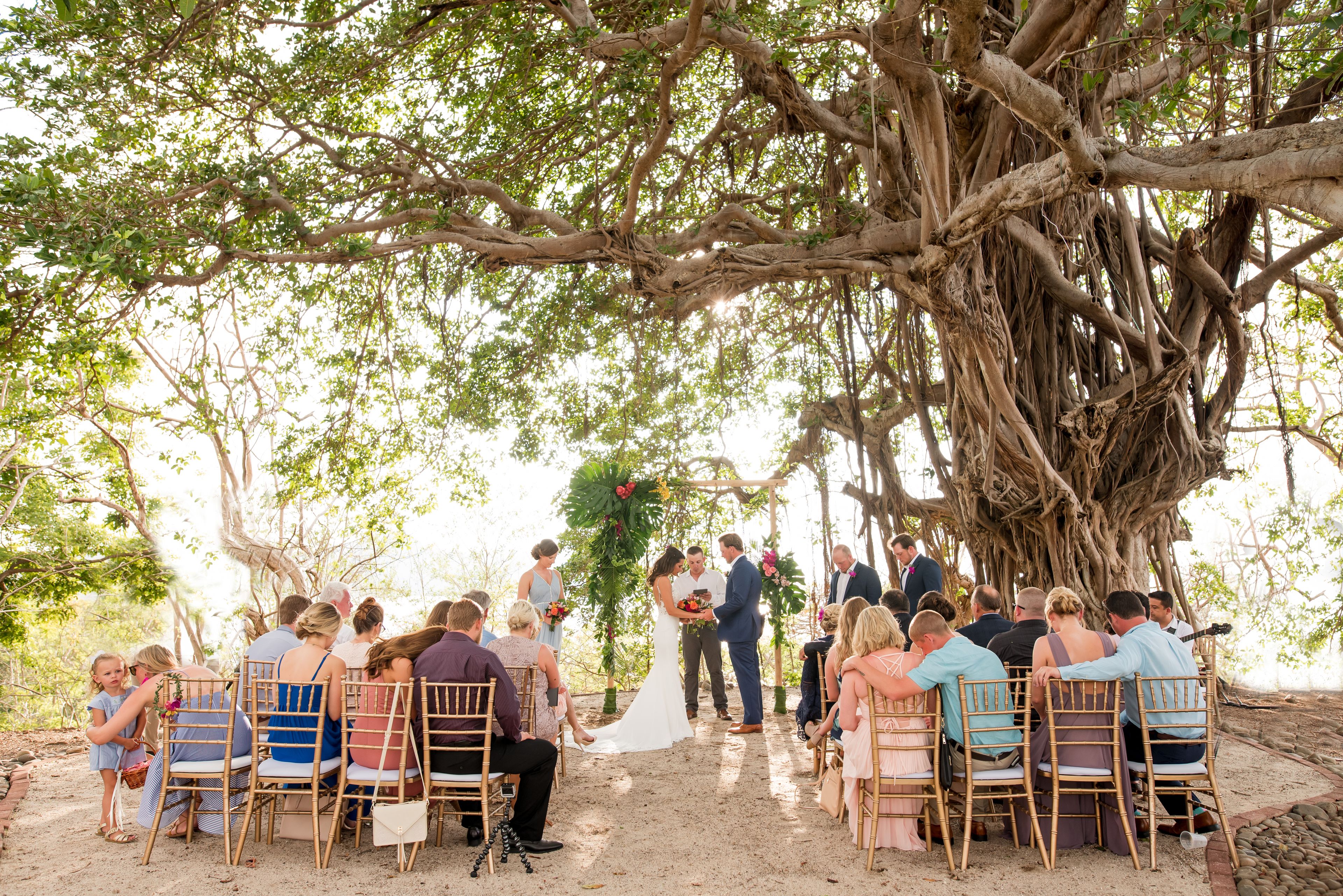 Cover photo of Sylvia Guardia - Destination Wedding Photographer