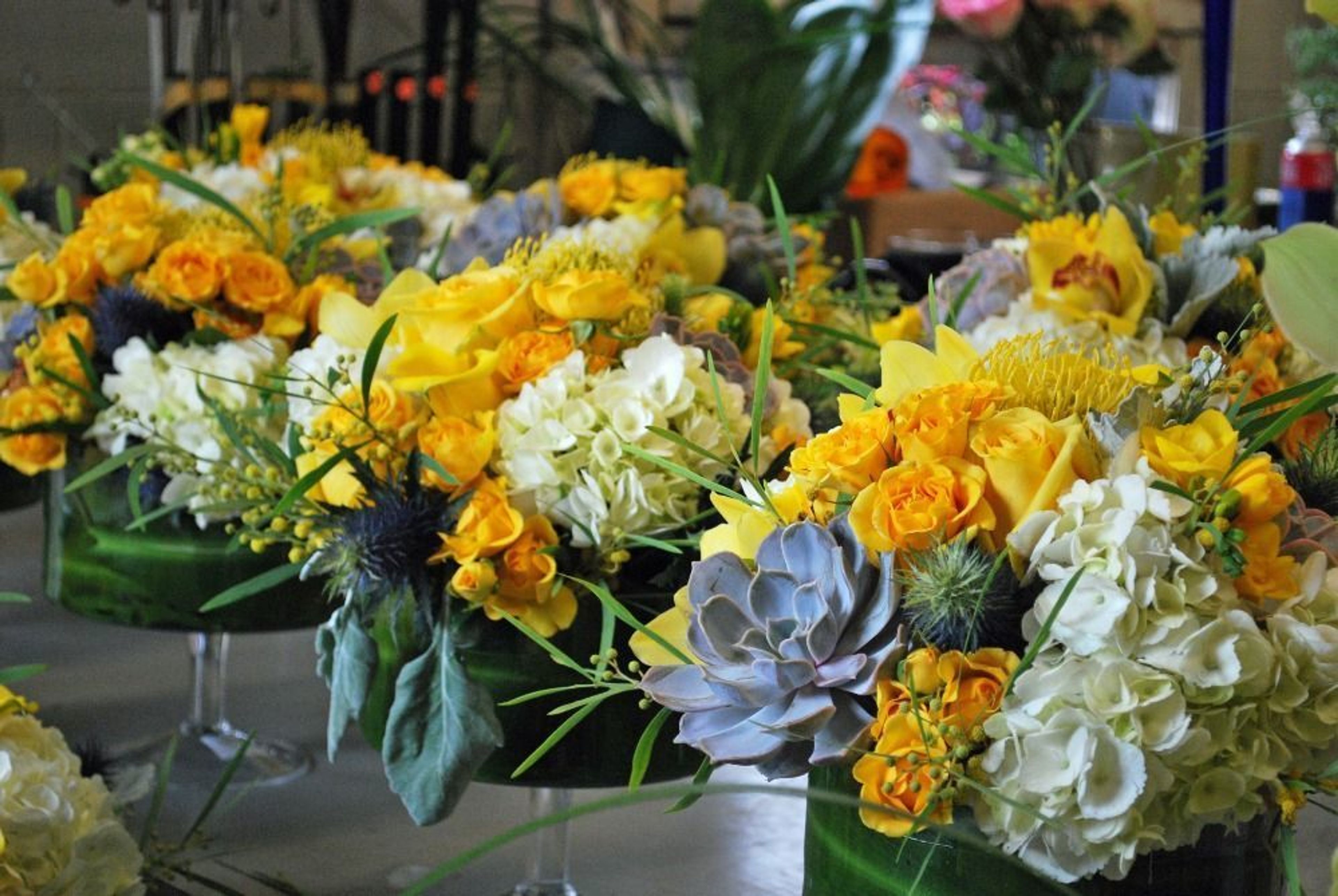 Cover photo of Edwards Florist of Northbrook