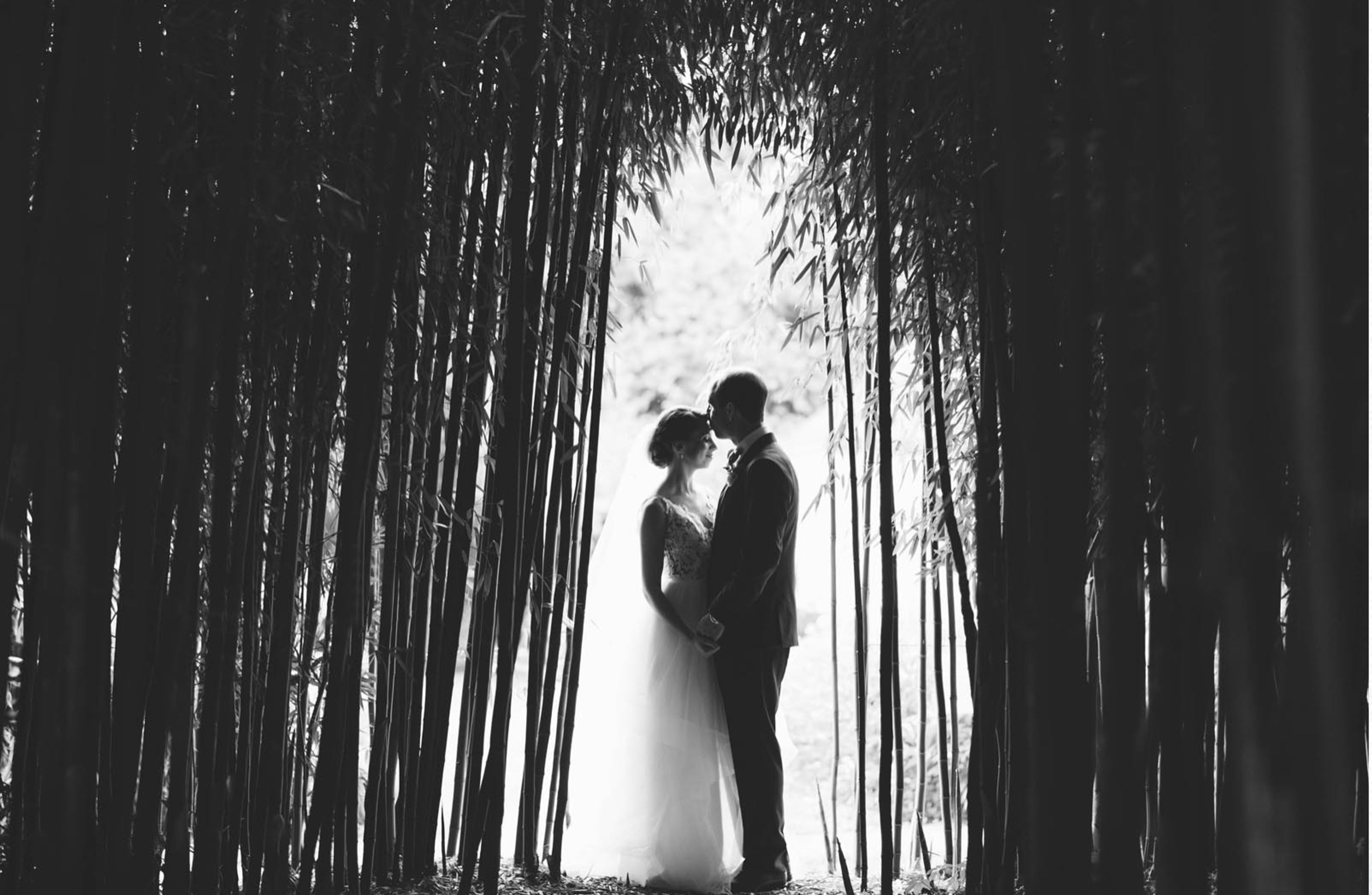 Cover photo of Zev Fisher Photography