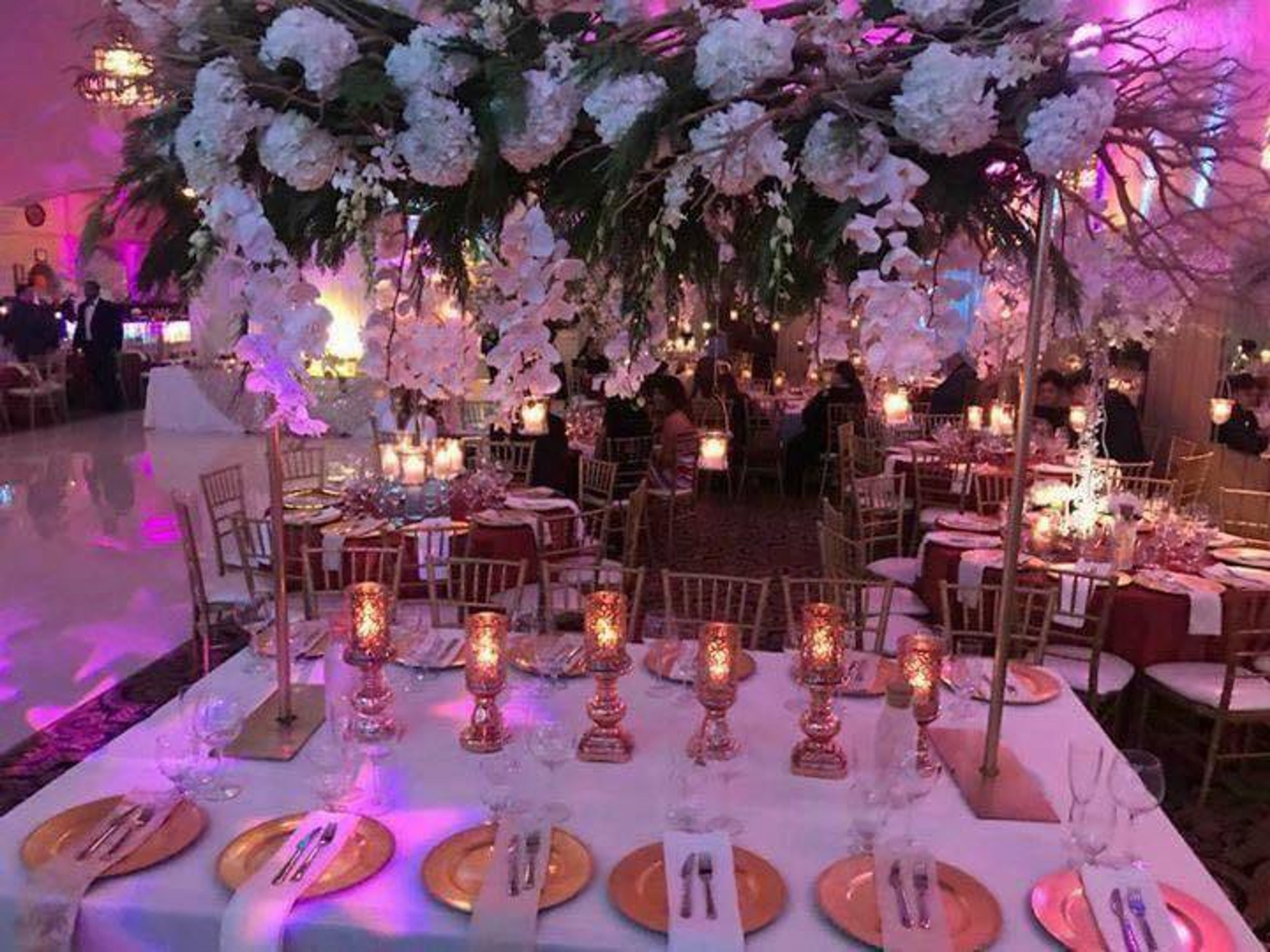 Cover photo of Palace Regency