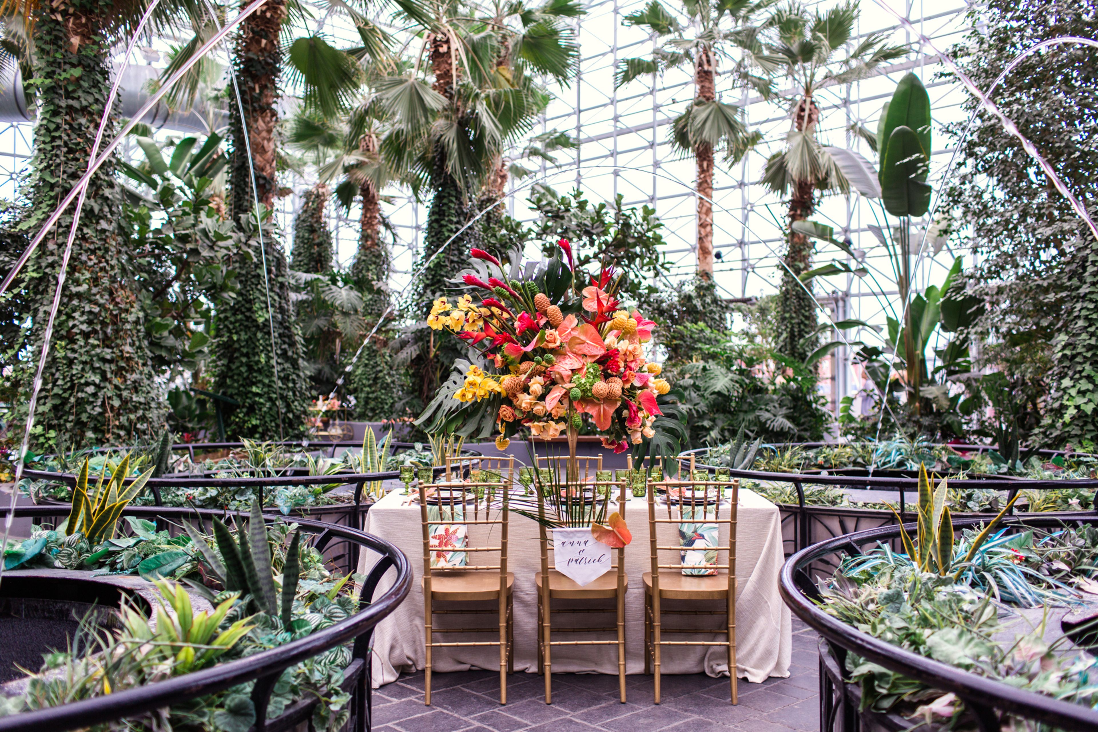 Cover photo of Boho Blush