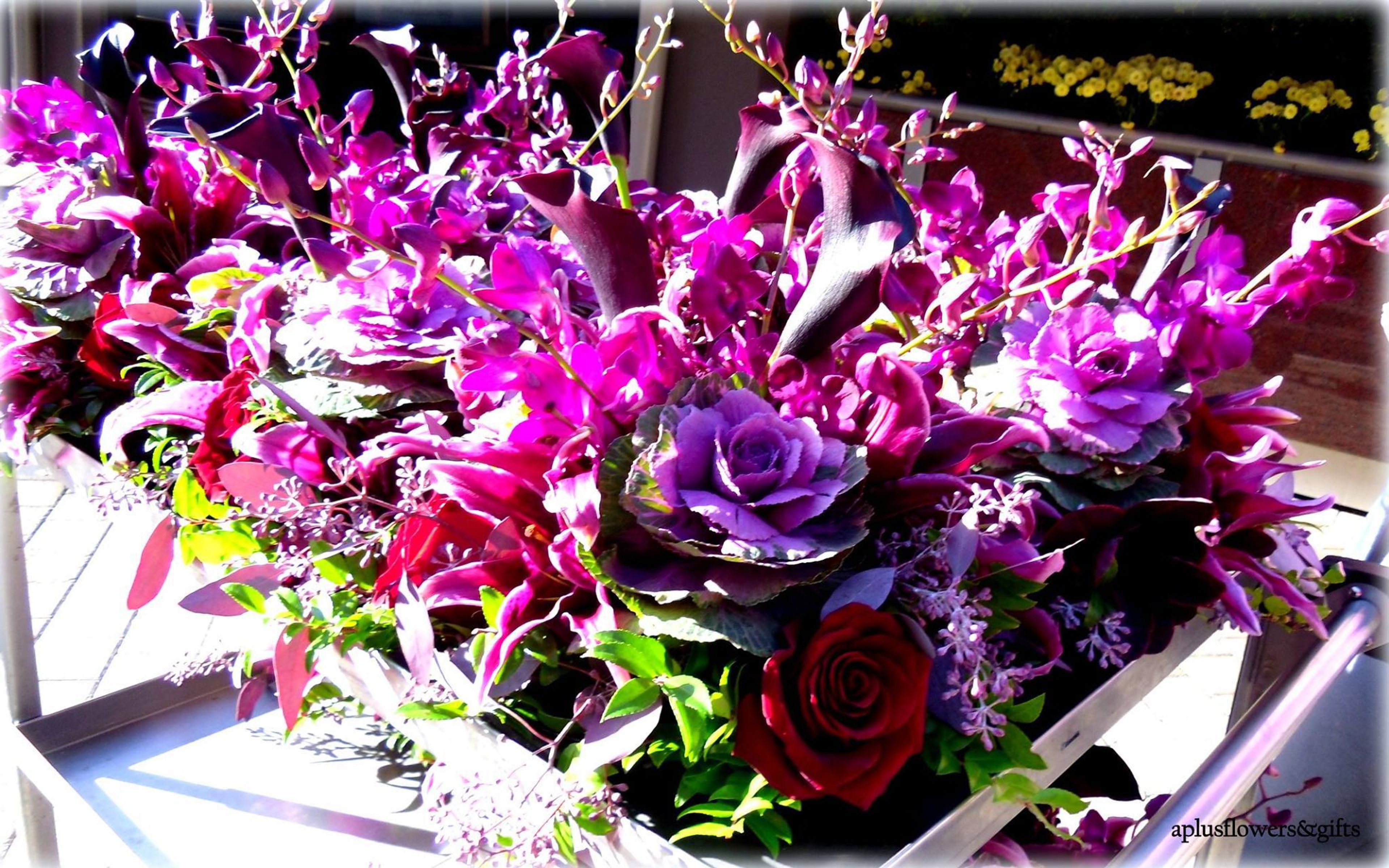 Cover photo of A Plus Flowers & Gifts