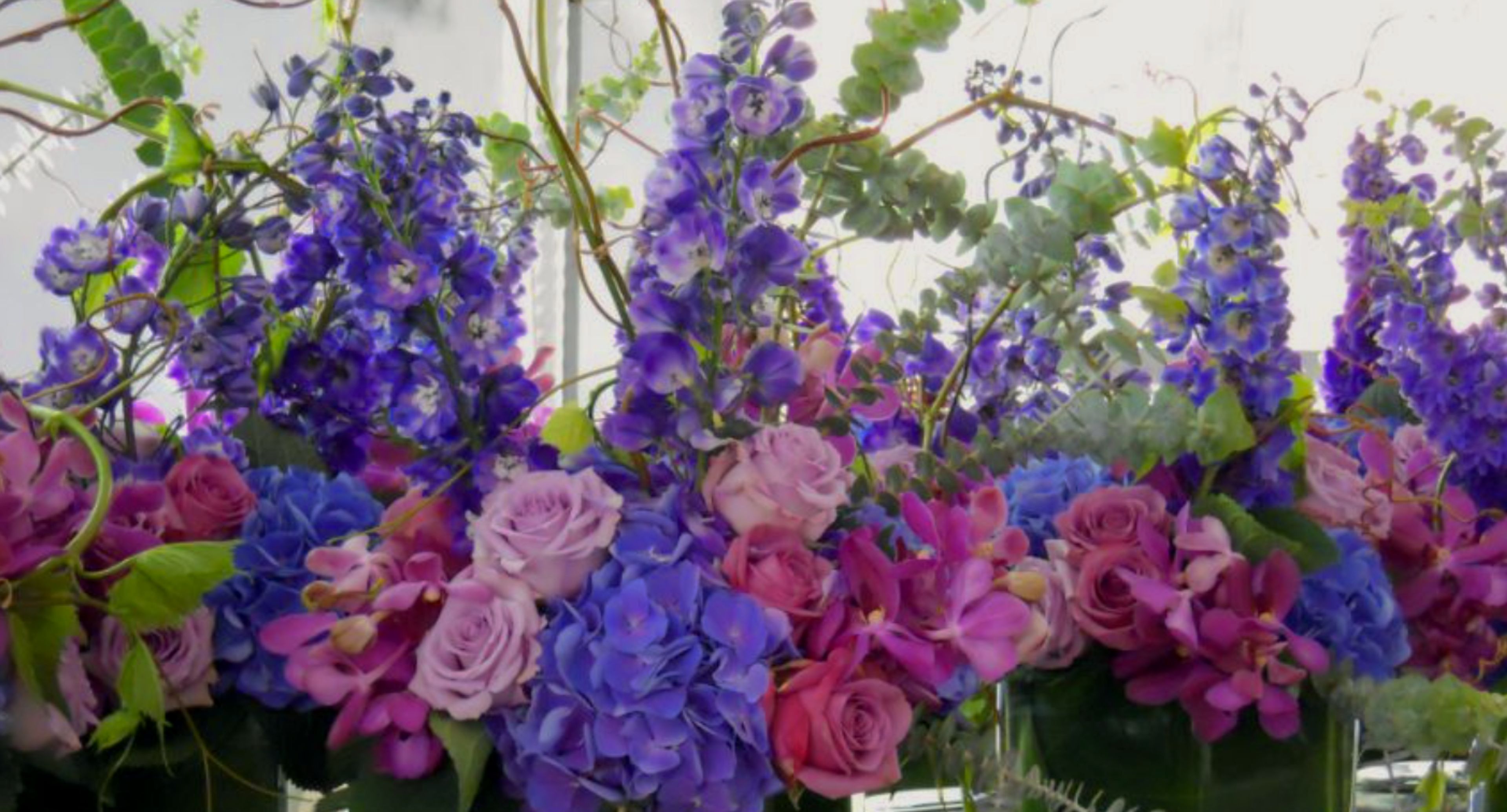 Cover photo of FloriSculpture