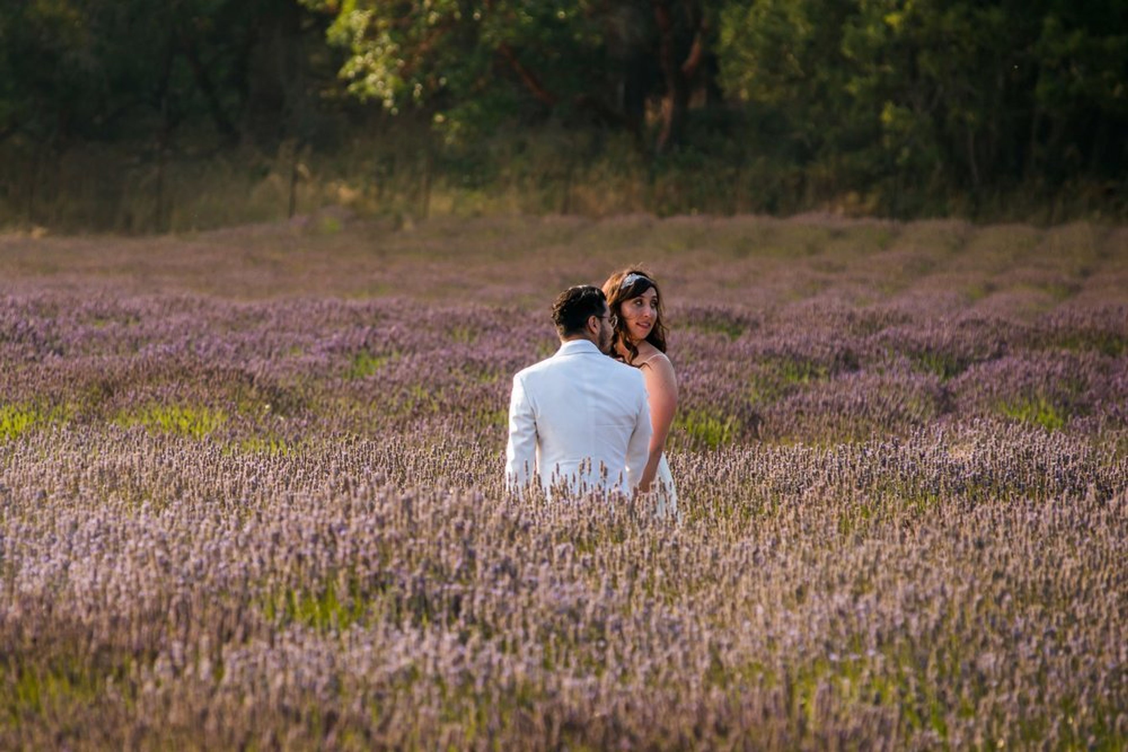 Cover photo of NORA Events Chicago