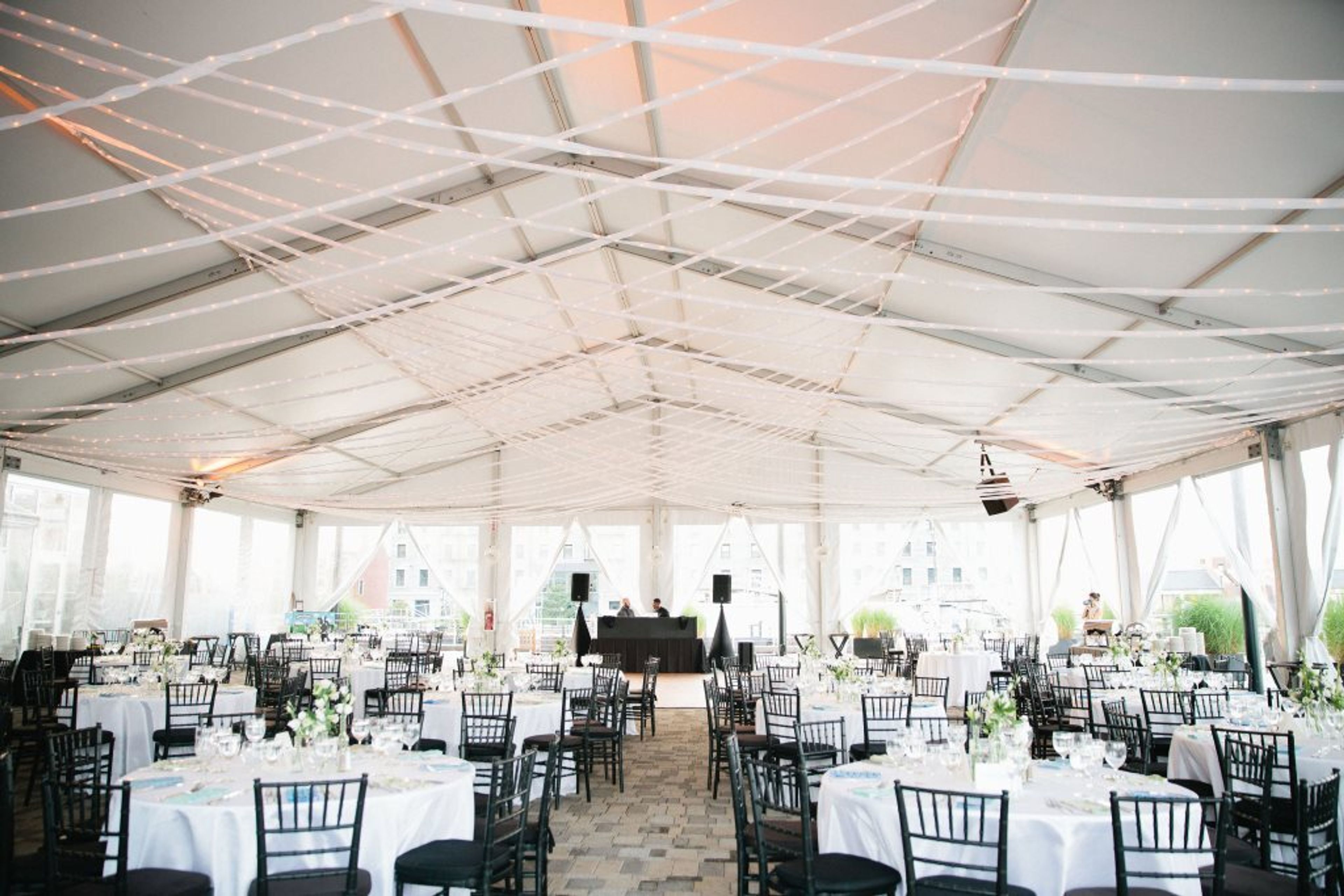 Cover photo of New England Aquarium