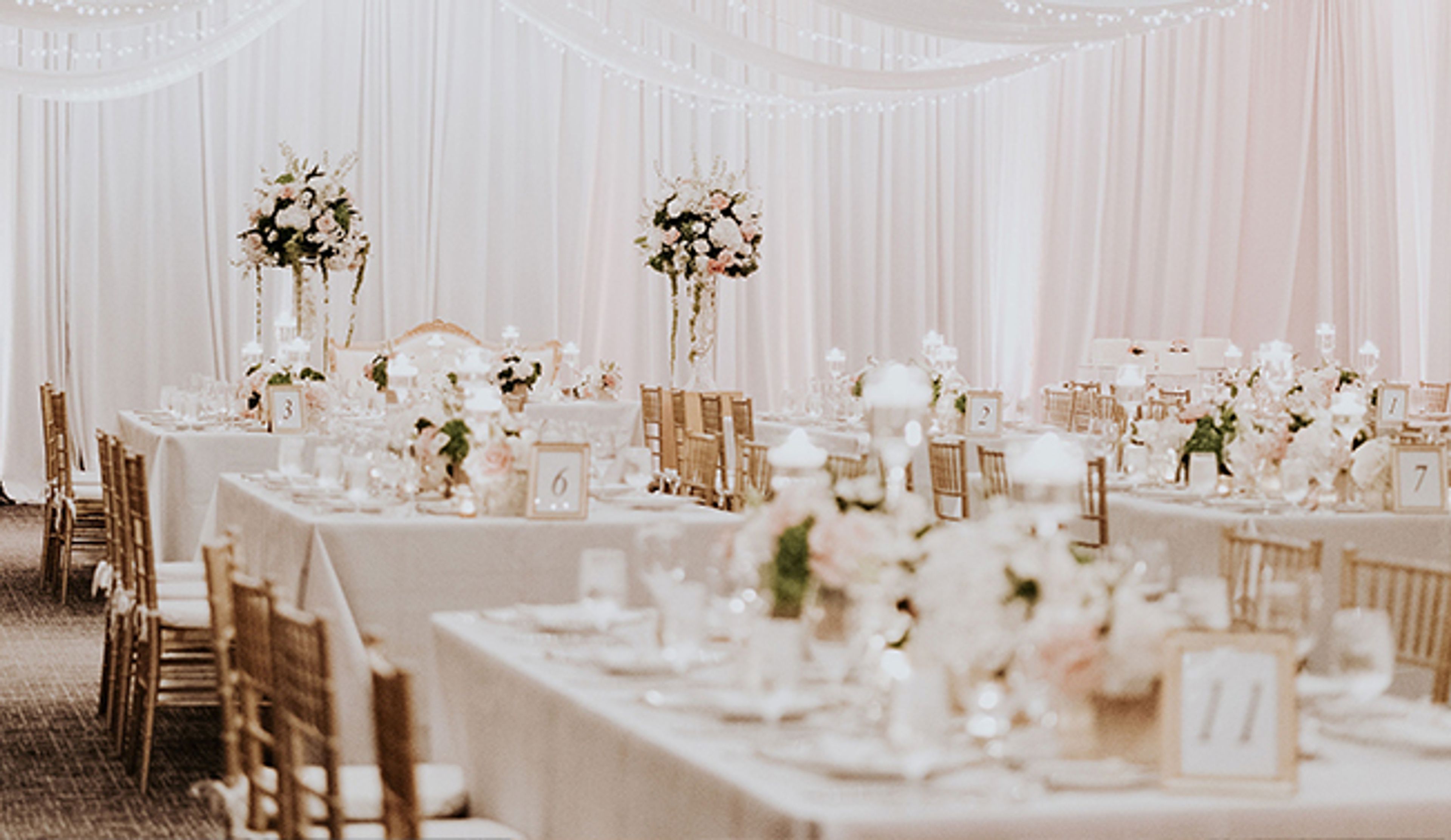 Cover photo of The Dalmar