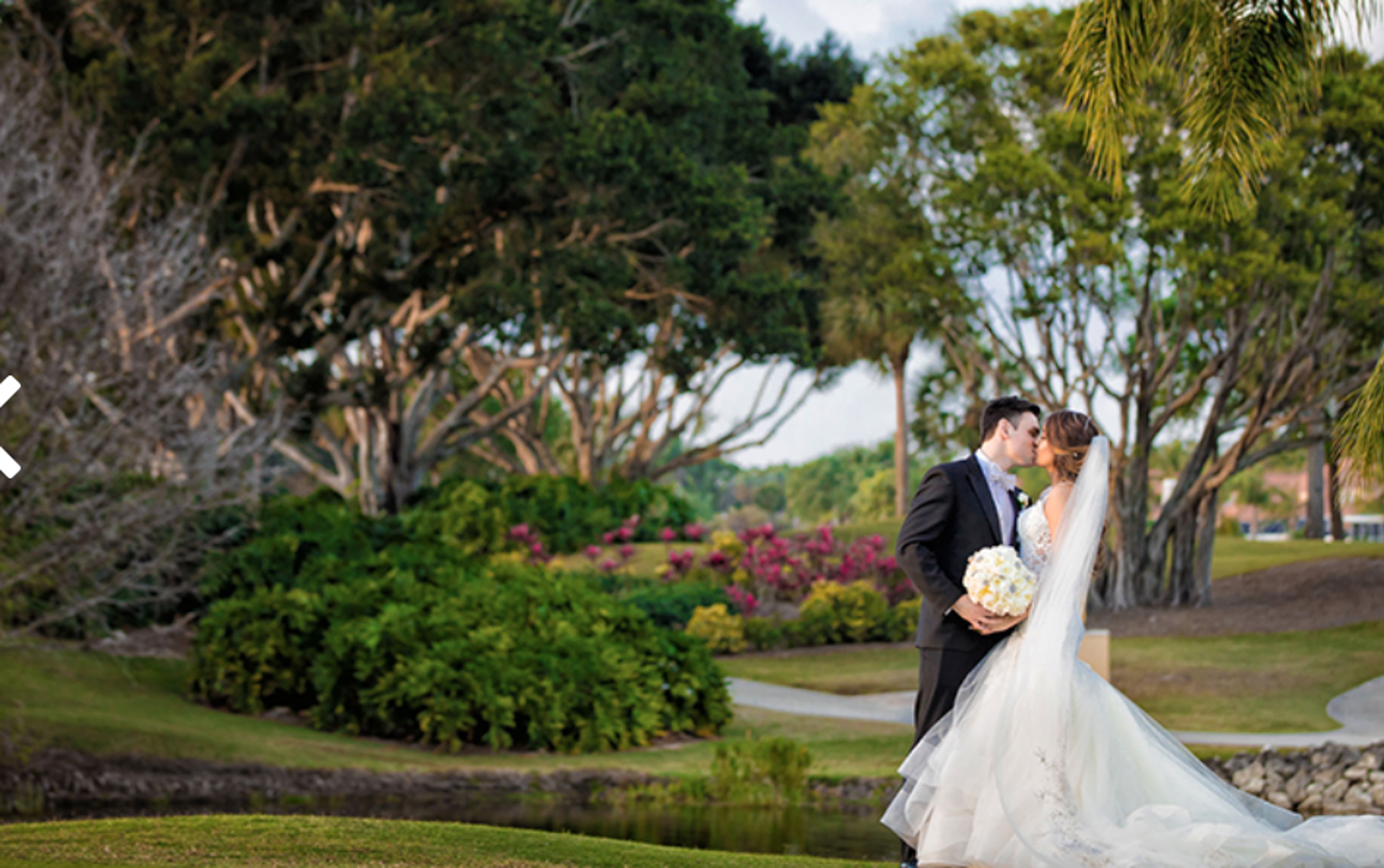 Cover photo of The Club at Ibis