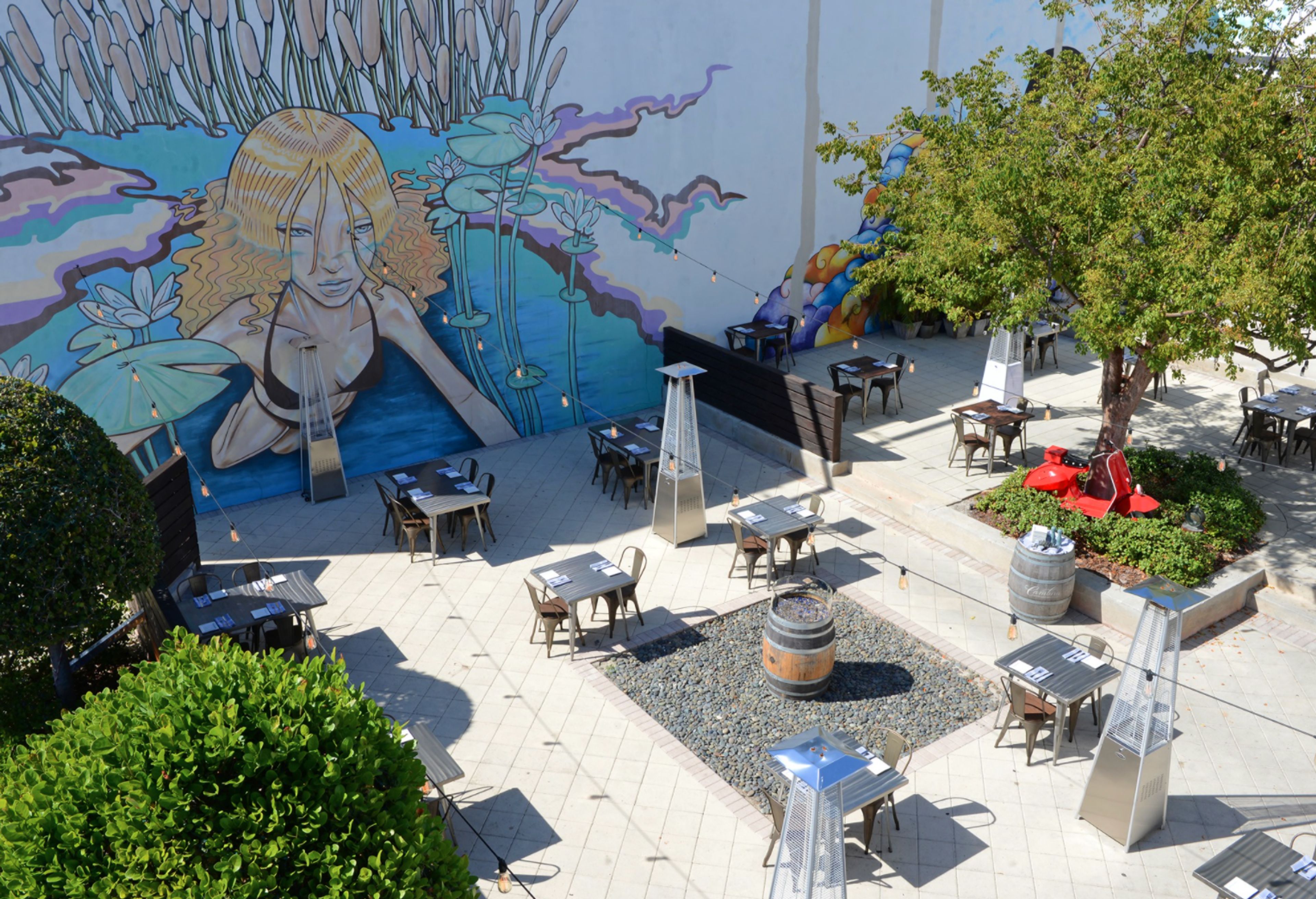 Cover photo of Fern Street Wine Bar & Kitchen