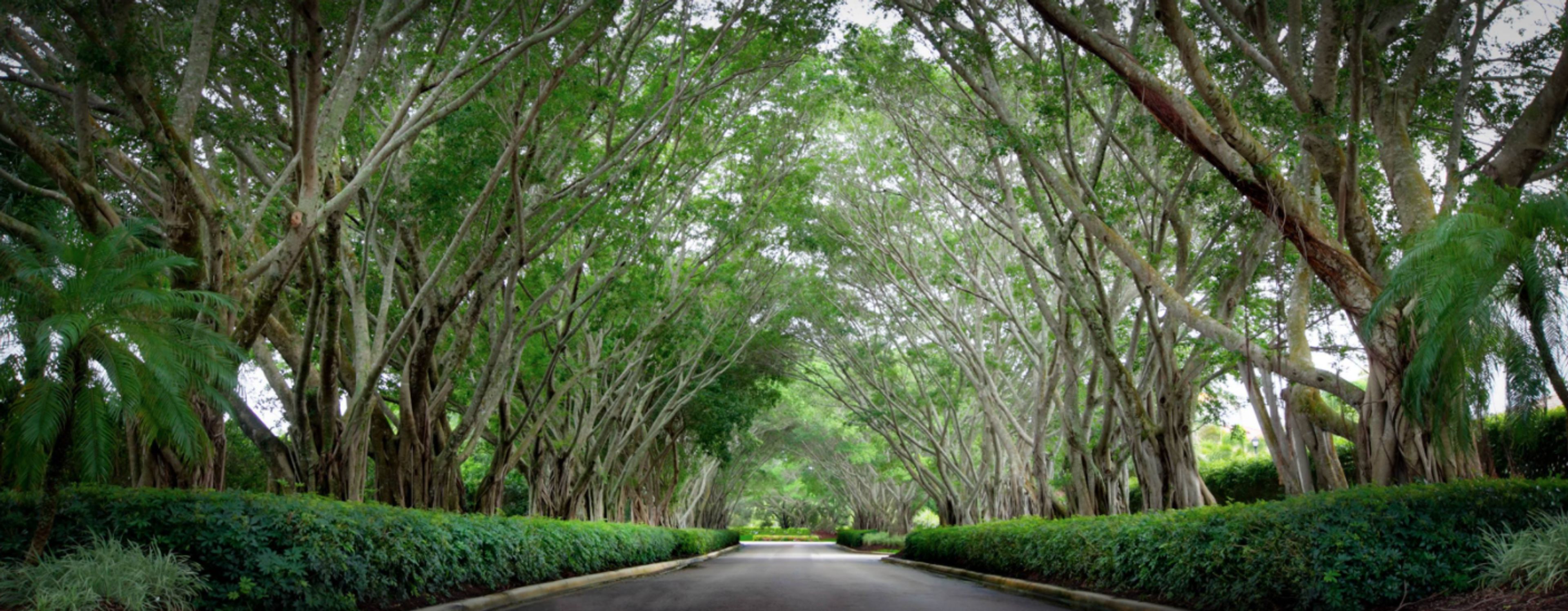 Cover photo of IronHorse Country Club