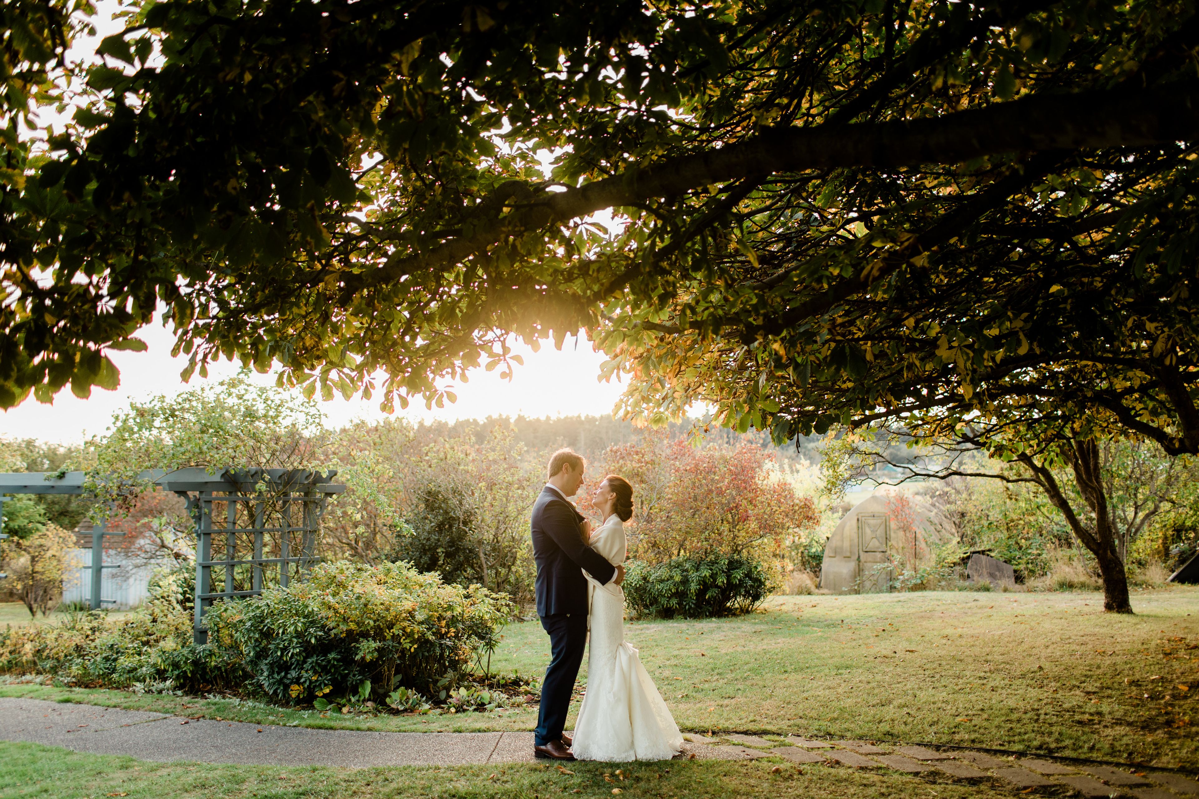 Cover photo of Into Dust Photography