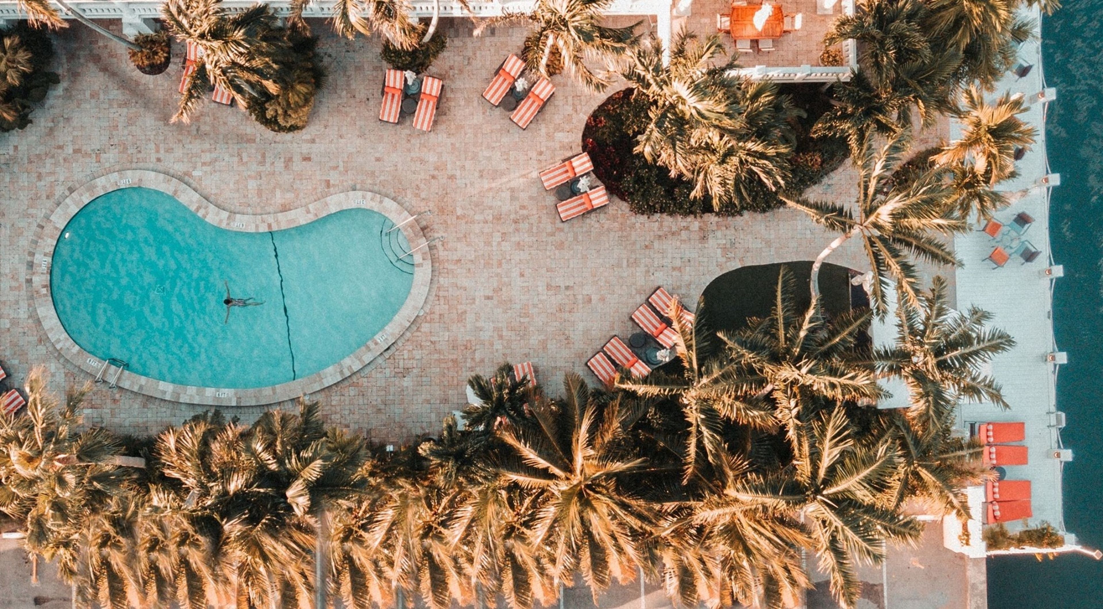 Cover photo of The Pillars Hotel