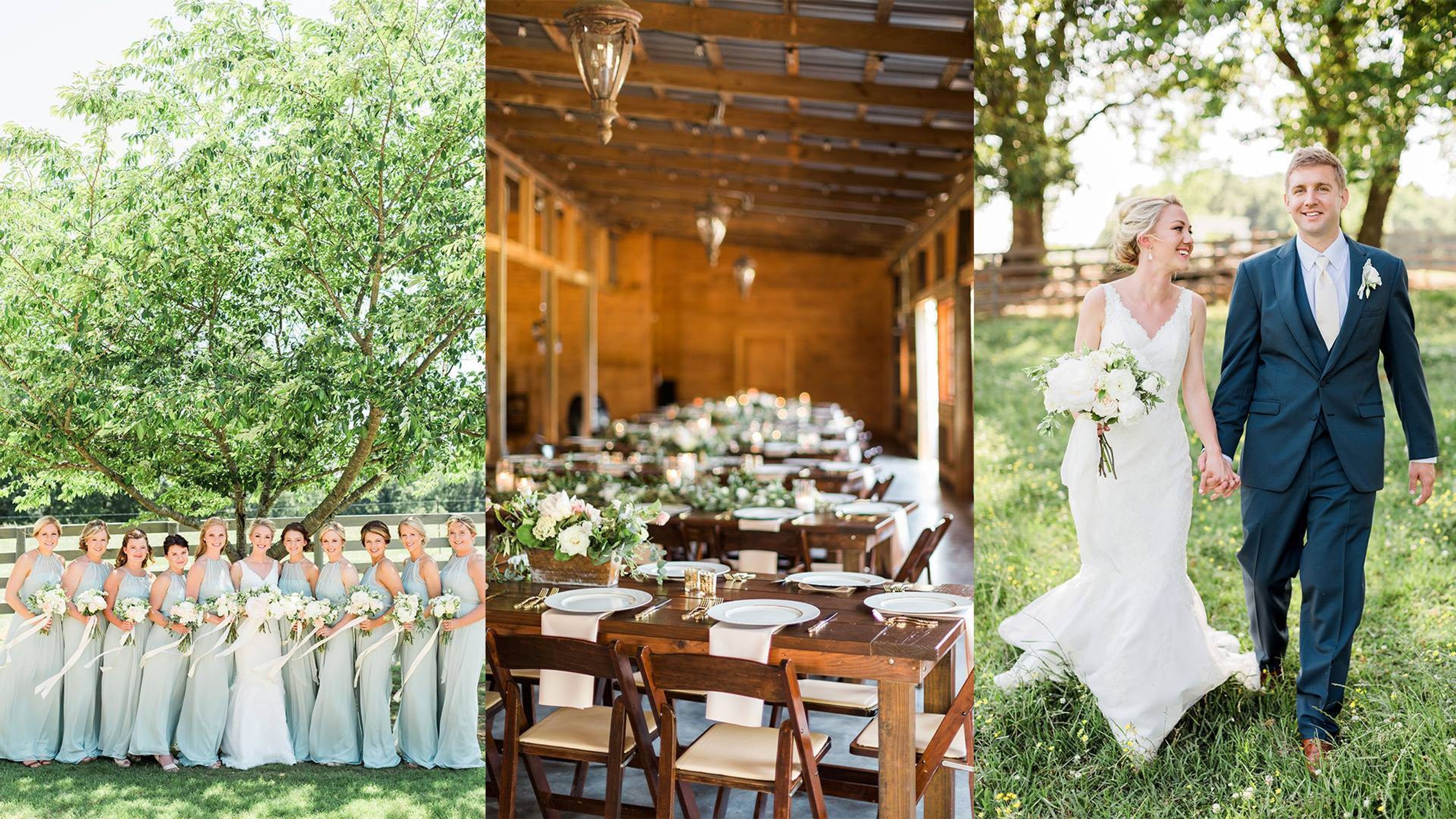 Cover photo of The Wright Farm