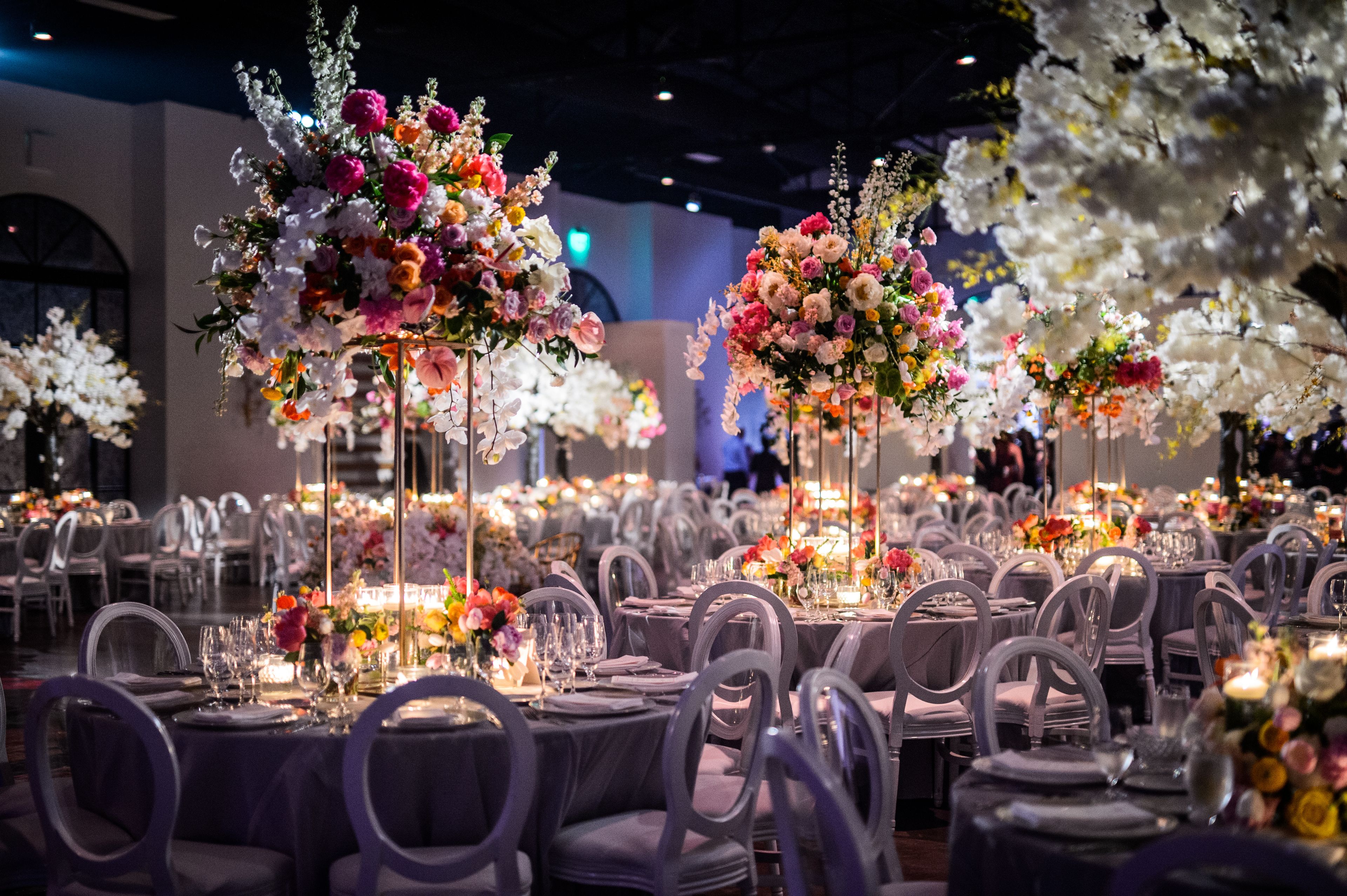 Cover photo of Ann Whittington Events