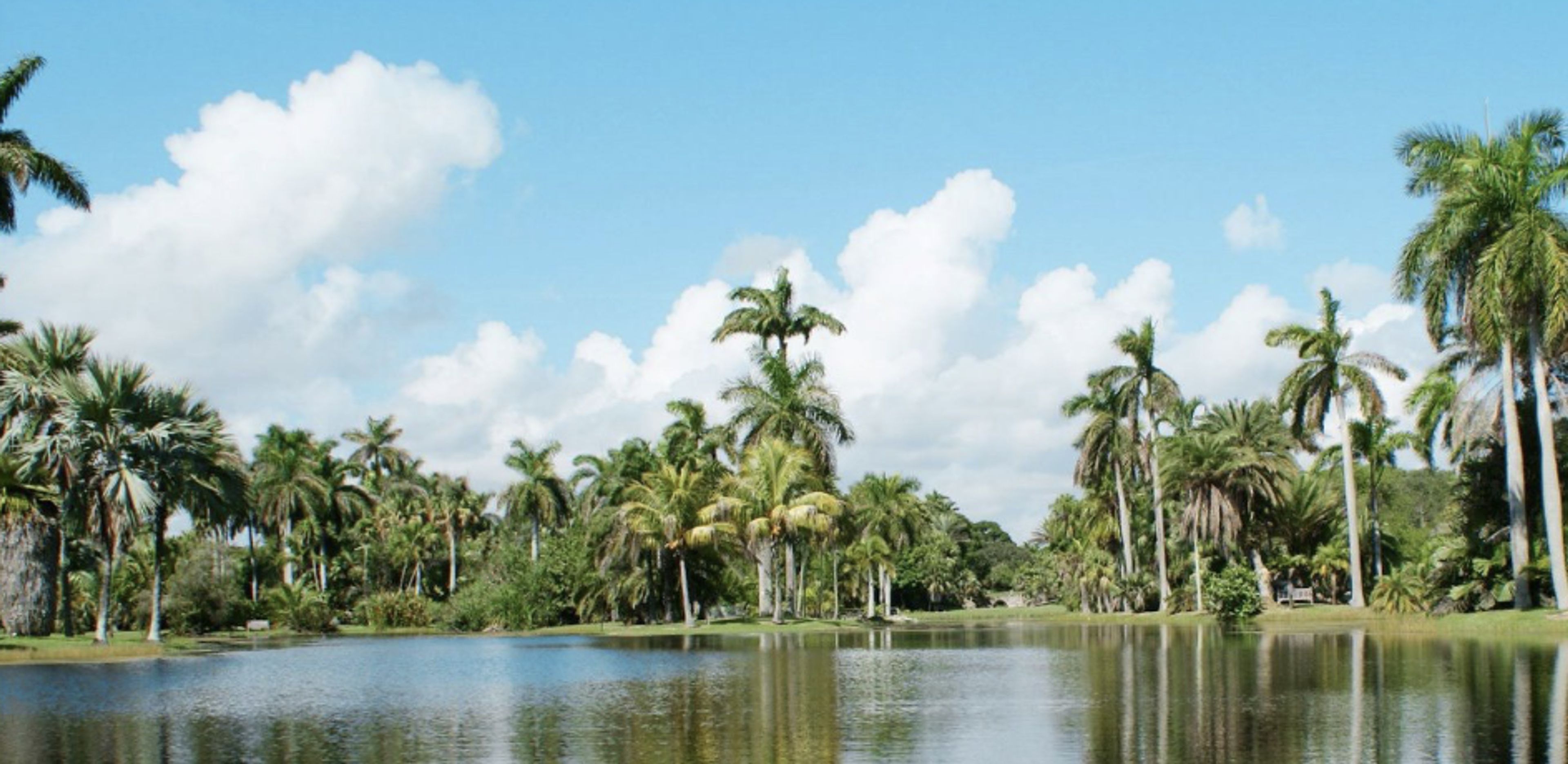 Cover photo of Fairchild Tropical Botanic Garden