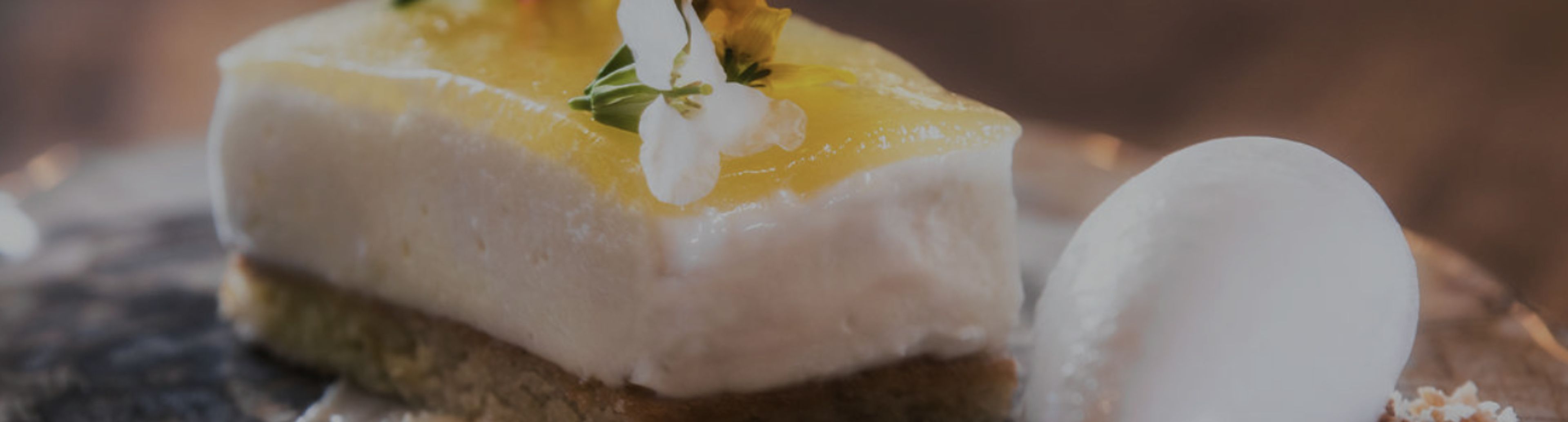 Cover photo of Area 31