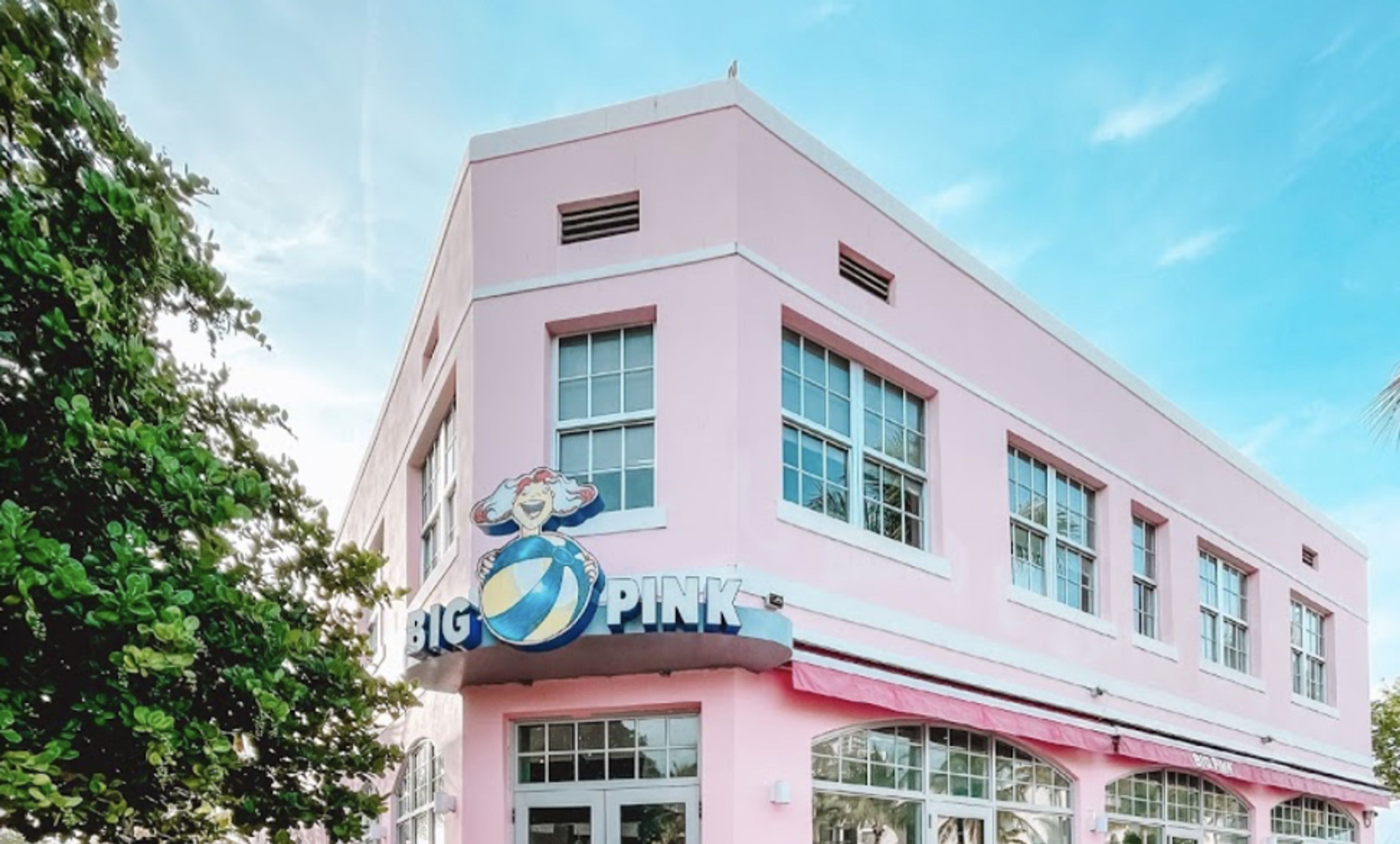Cover photo of Big Pink