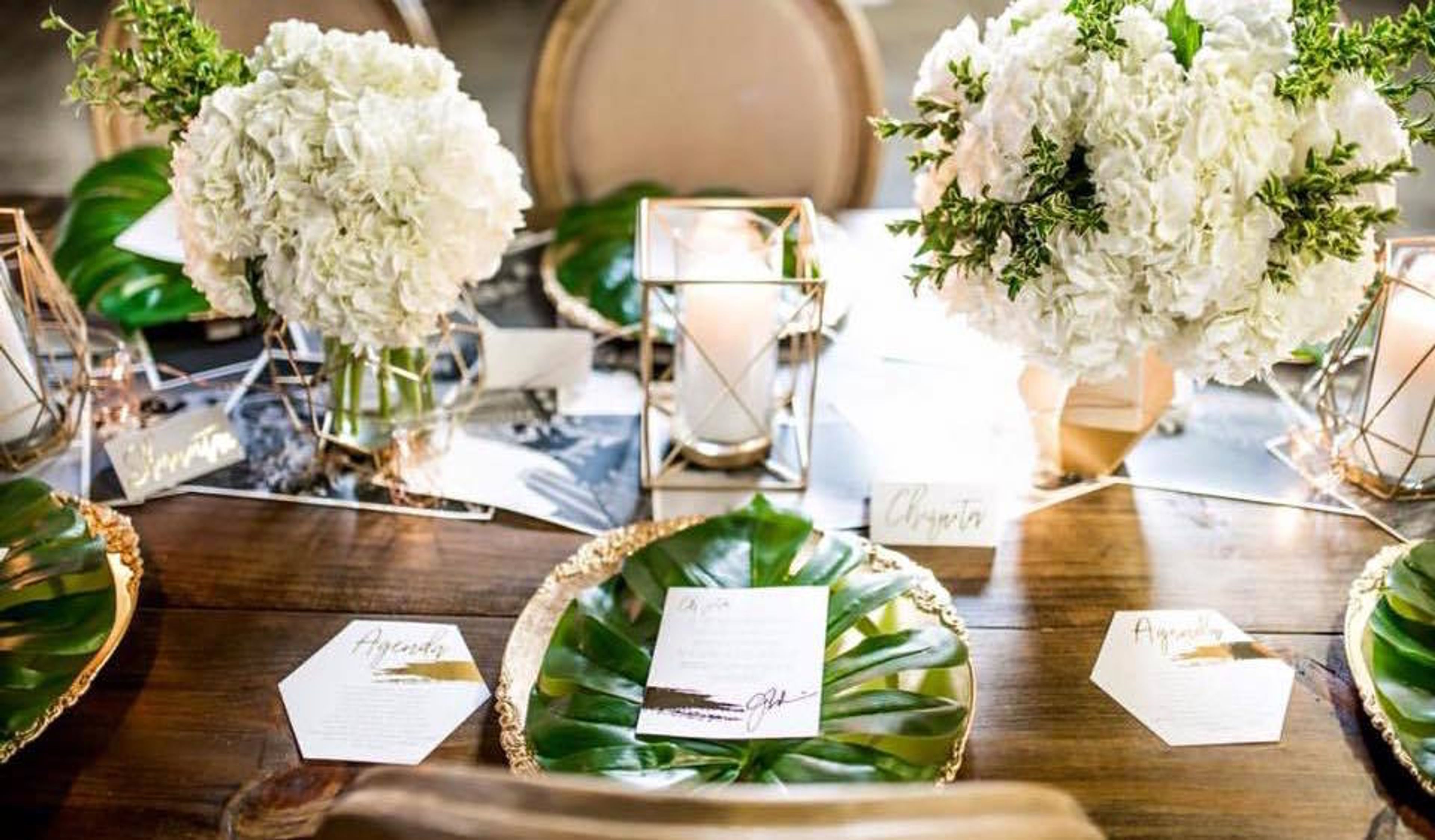 Cover photo of Party Rent DFW