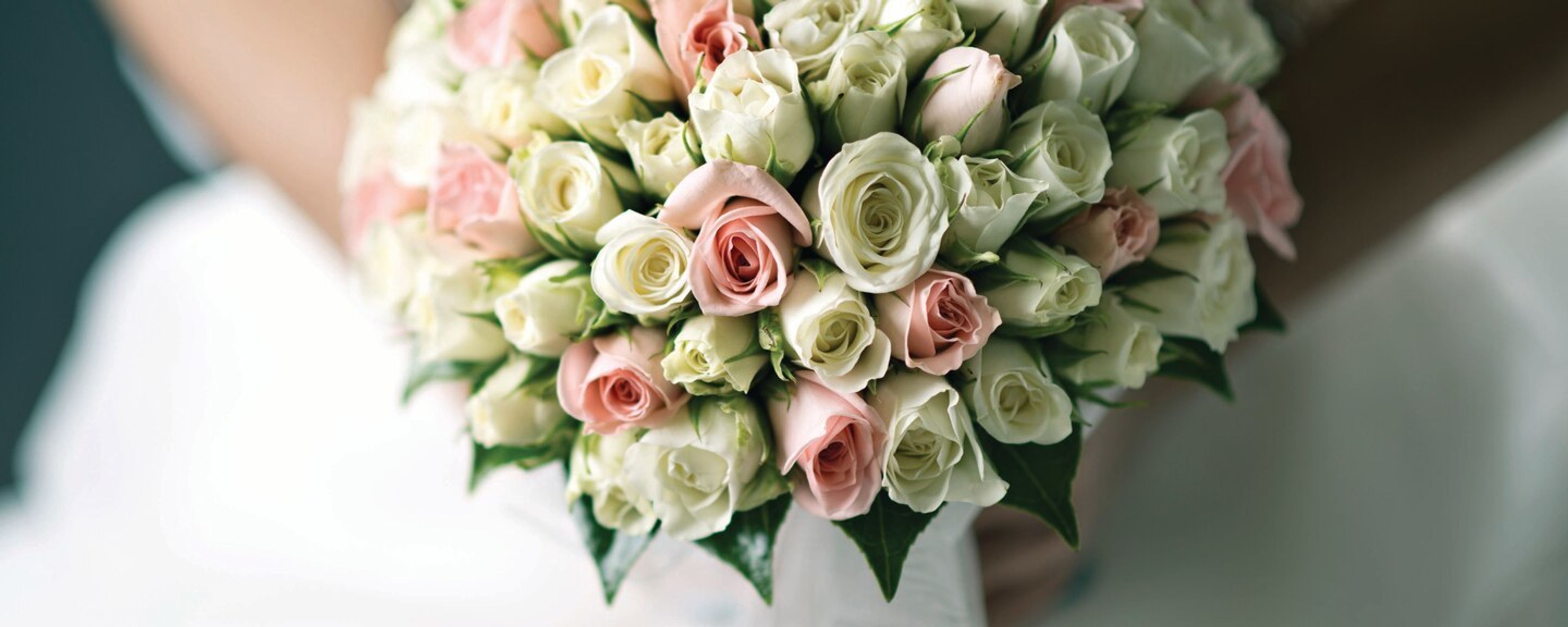 Cover photo of SpringHill Suites Boca Raton