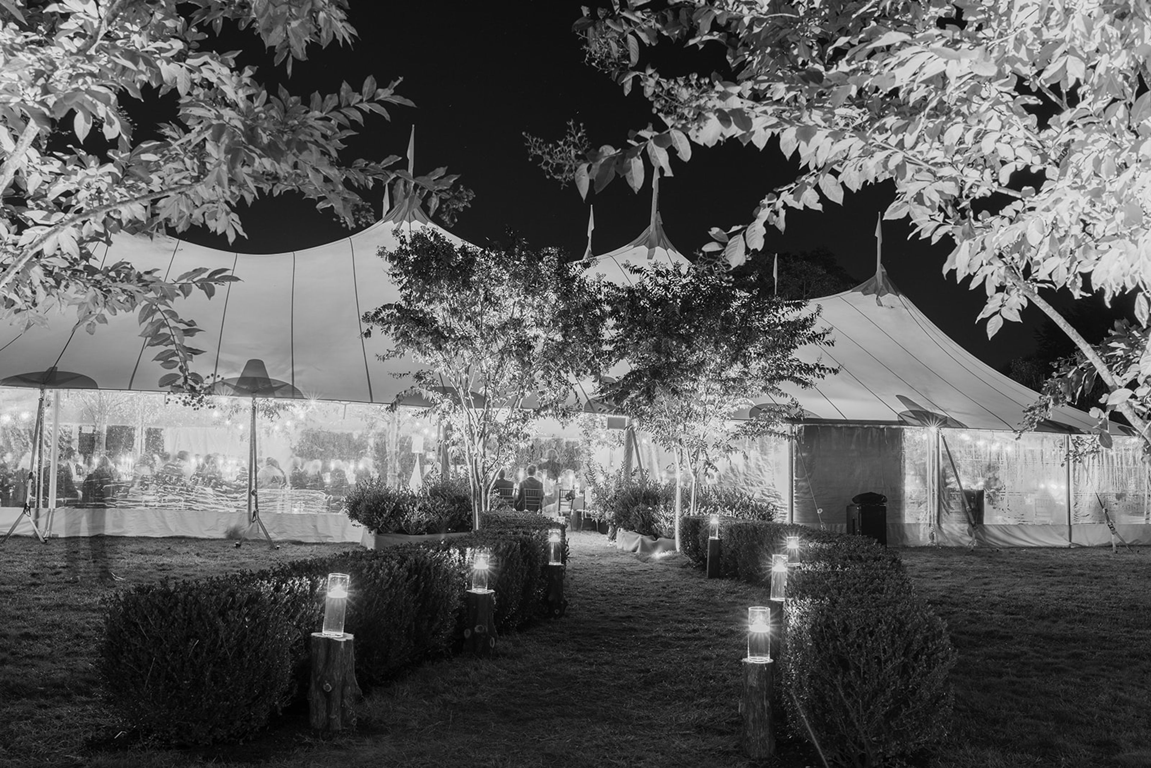 Cover photo of Ali Barone Events