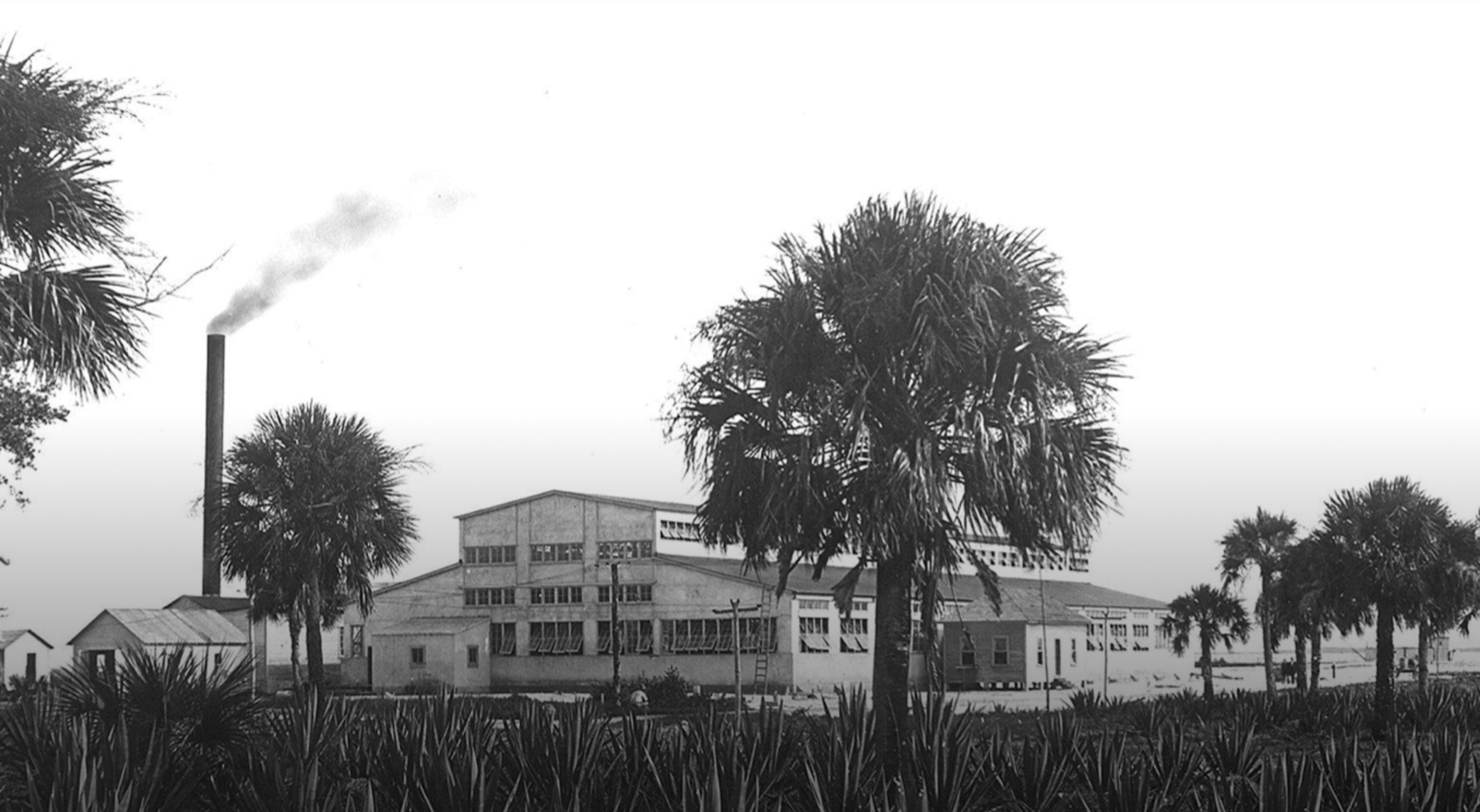 Cover photo of Shula's Hotel and Golf Club