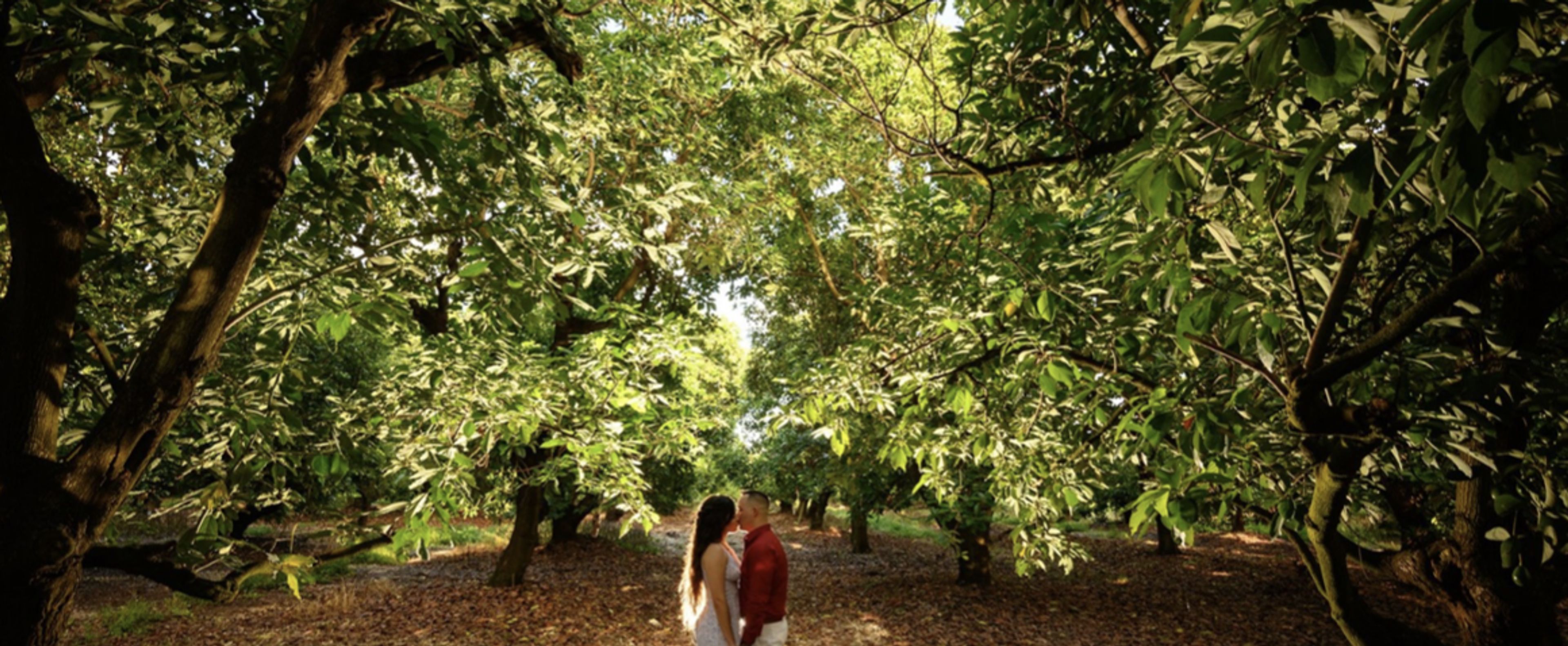 Cover photo of Mon Petit Garden