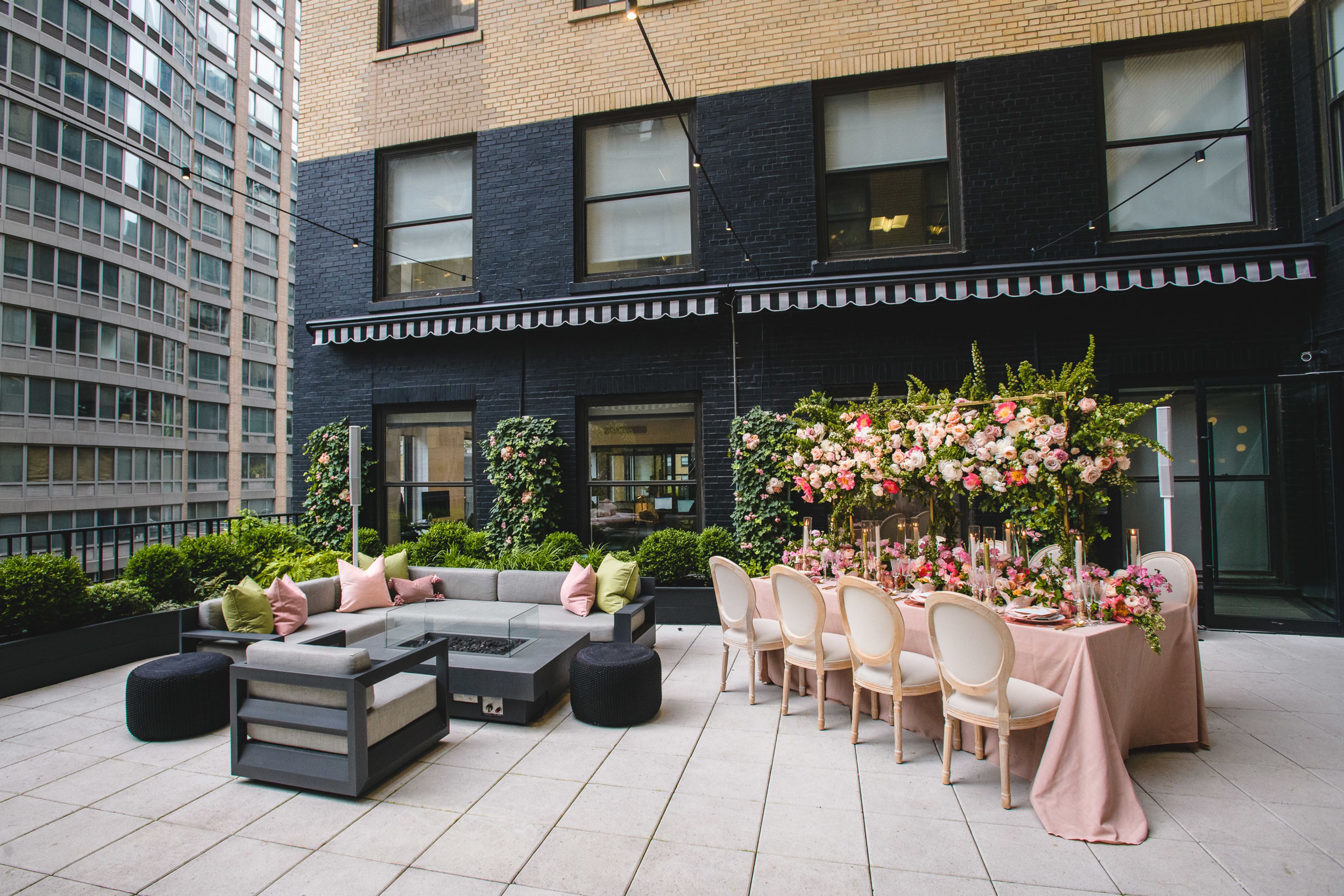 Cover photo of Ivy Terrace