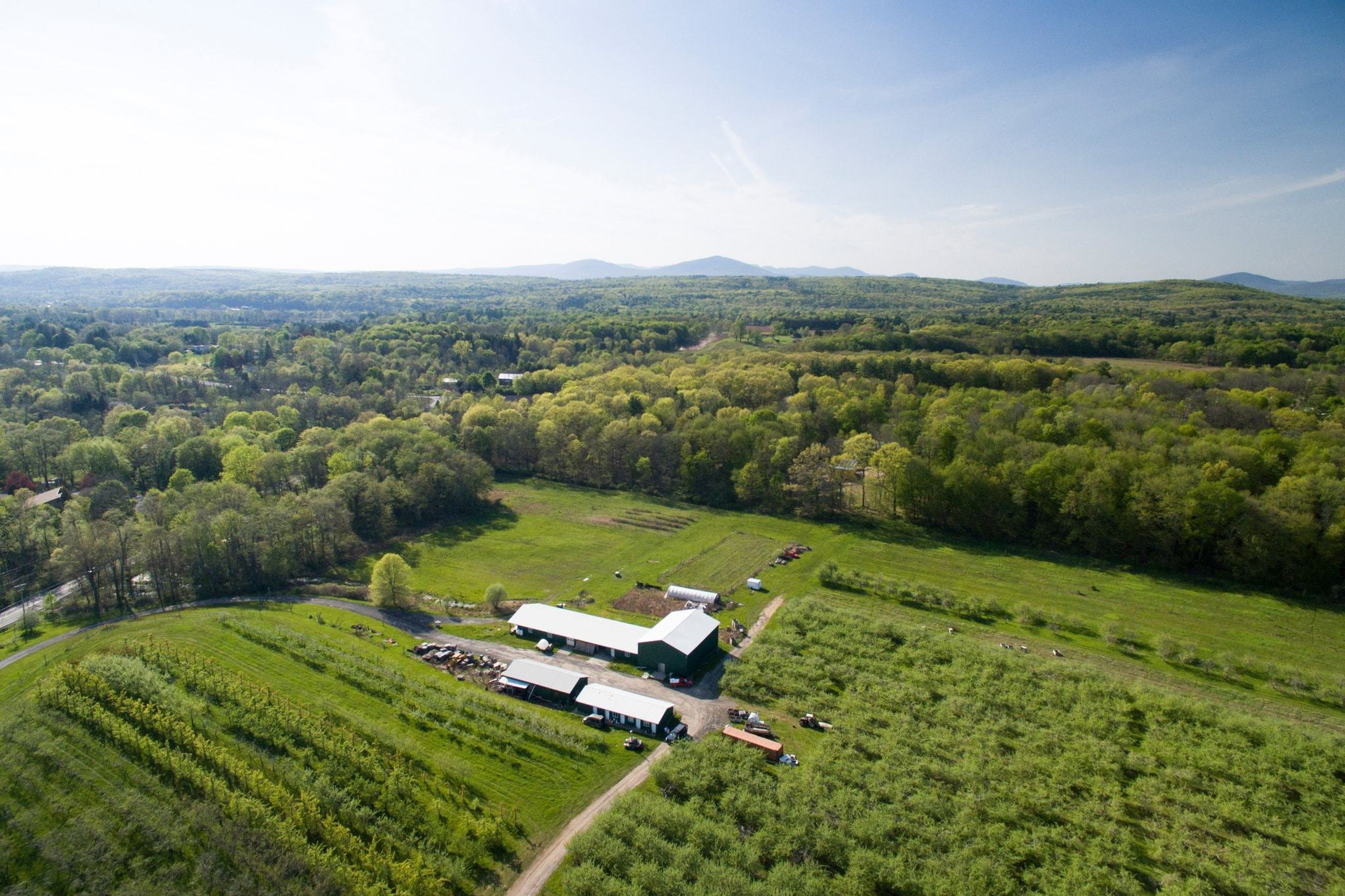 Cover photo of Stone Ridge Orchard