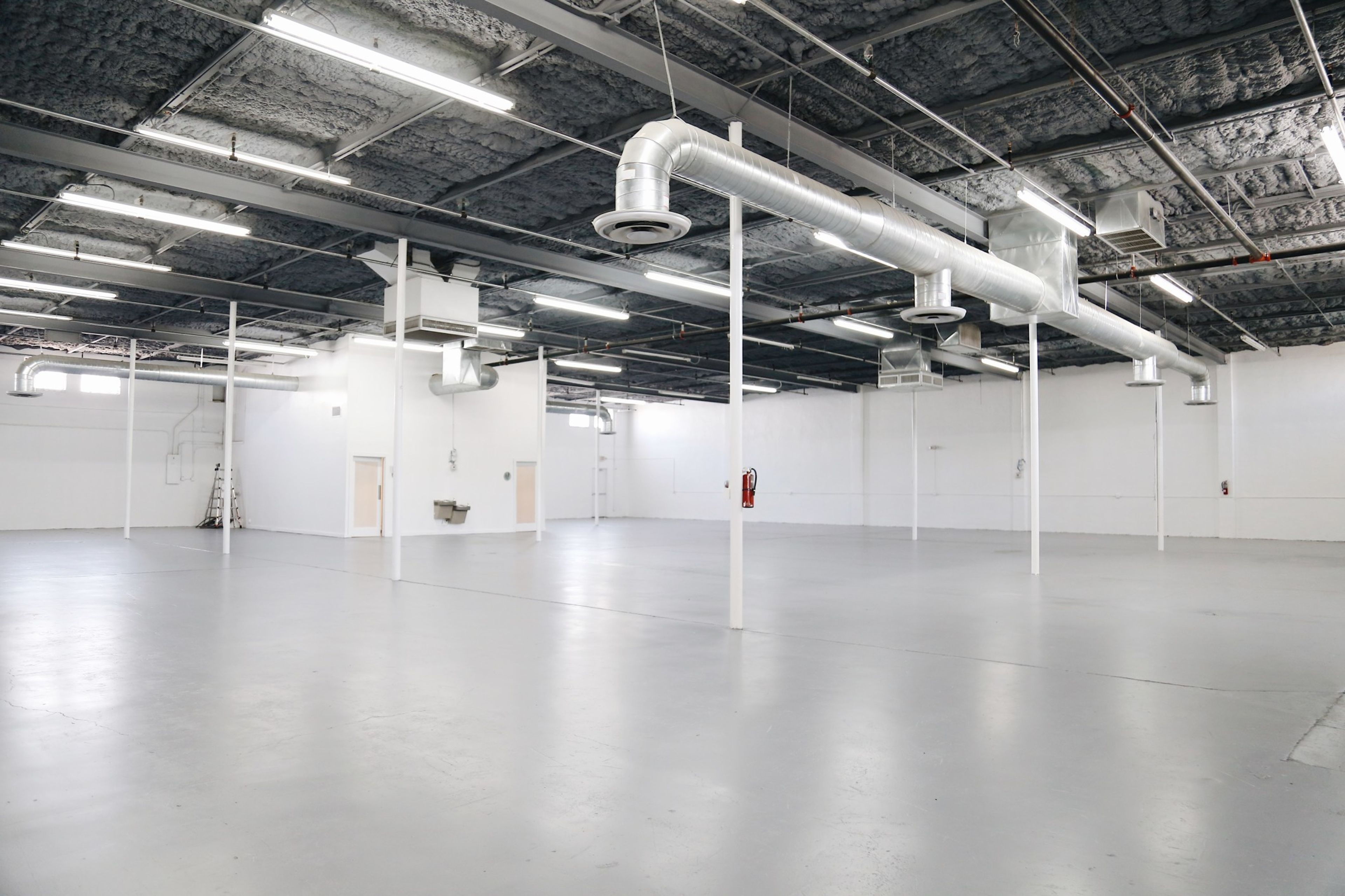 Cover photo of LMNCTY