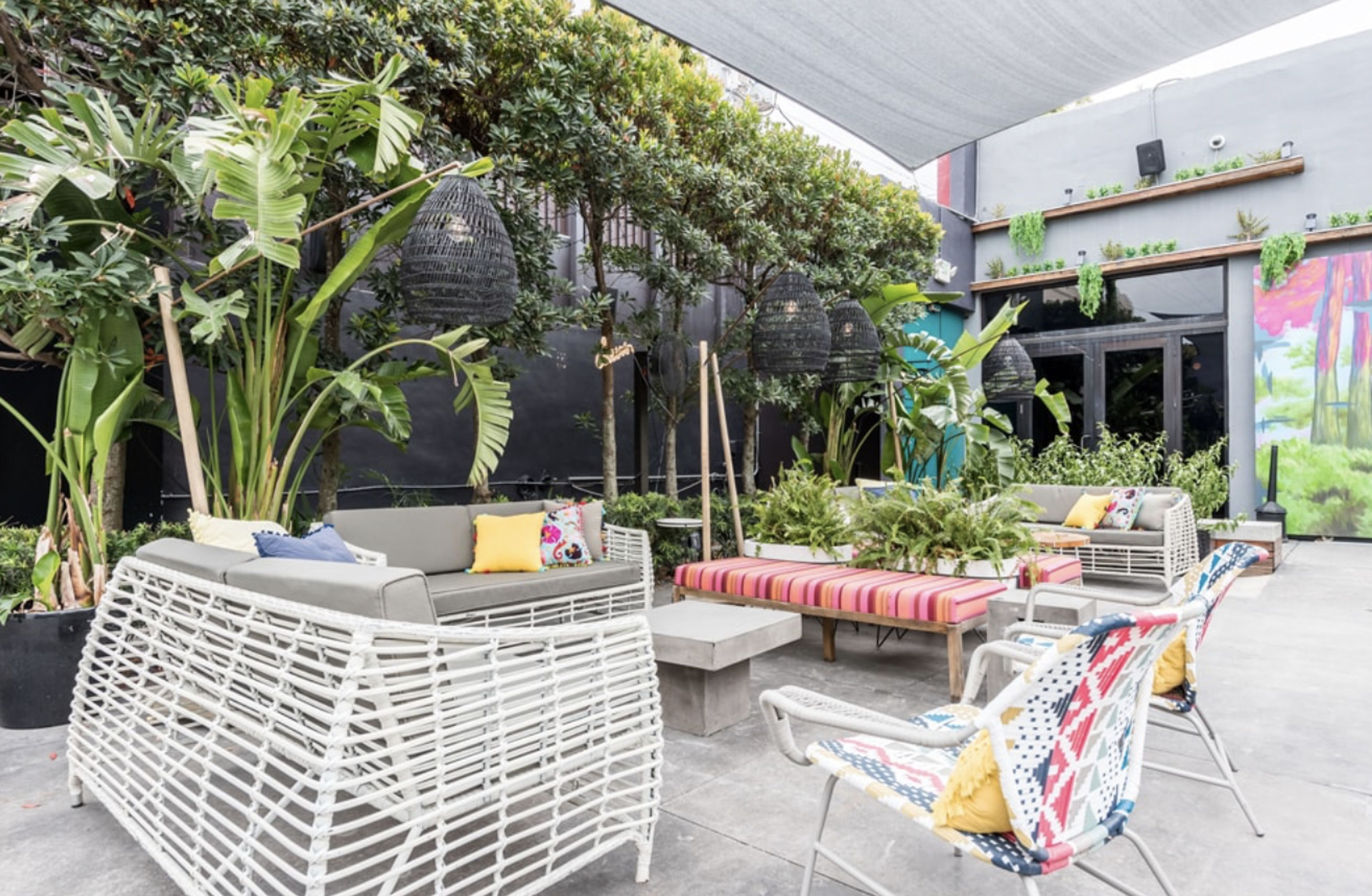 Cover photo of Cafeina