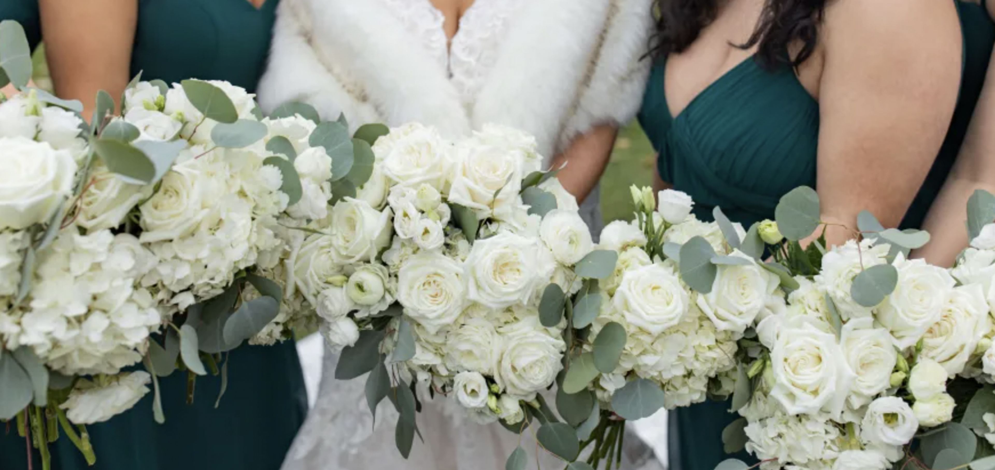 Cover photo of Catherine's Garden