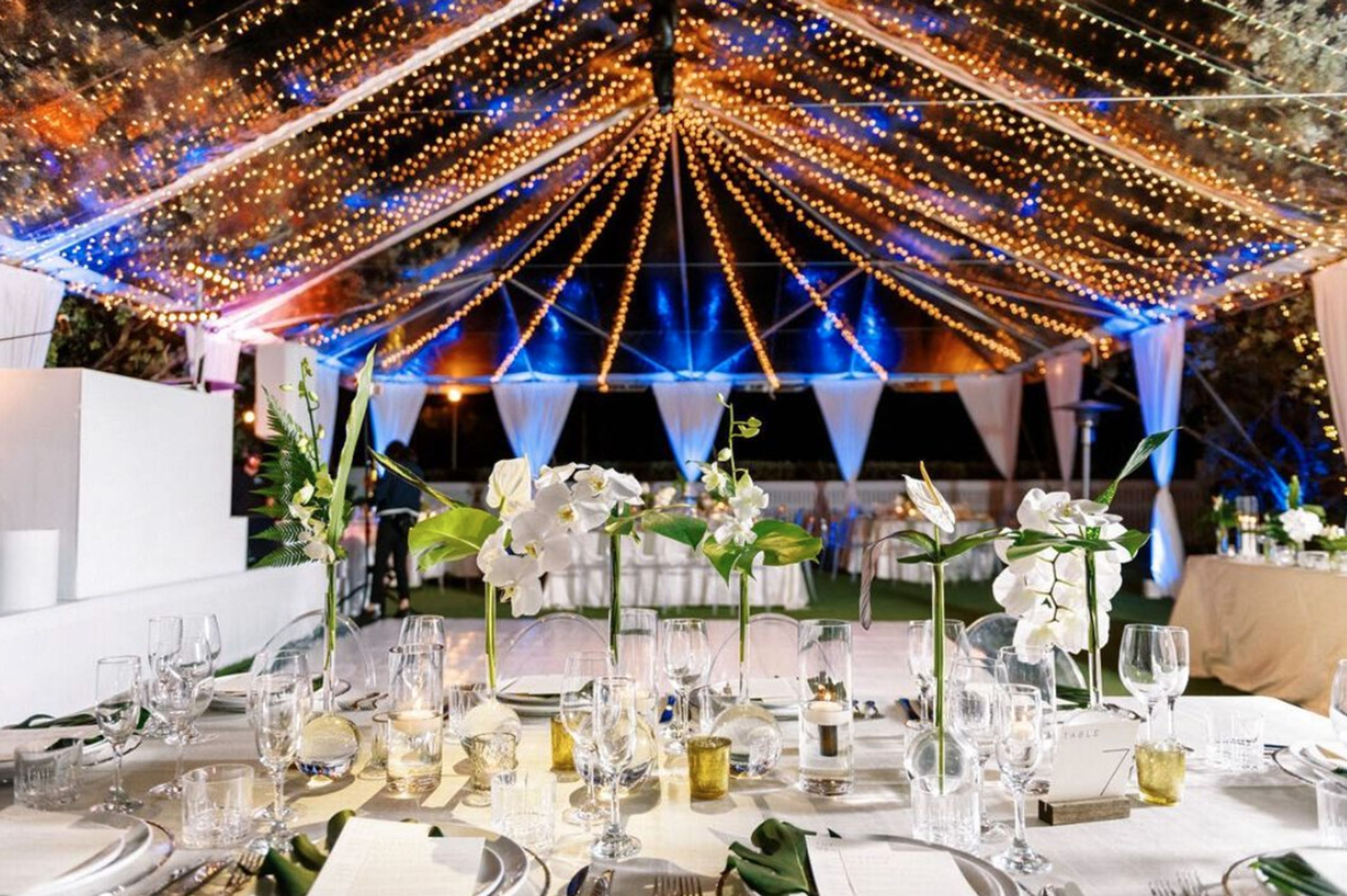 Cover photo of VC PROJECTS