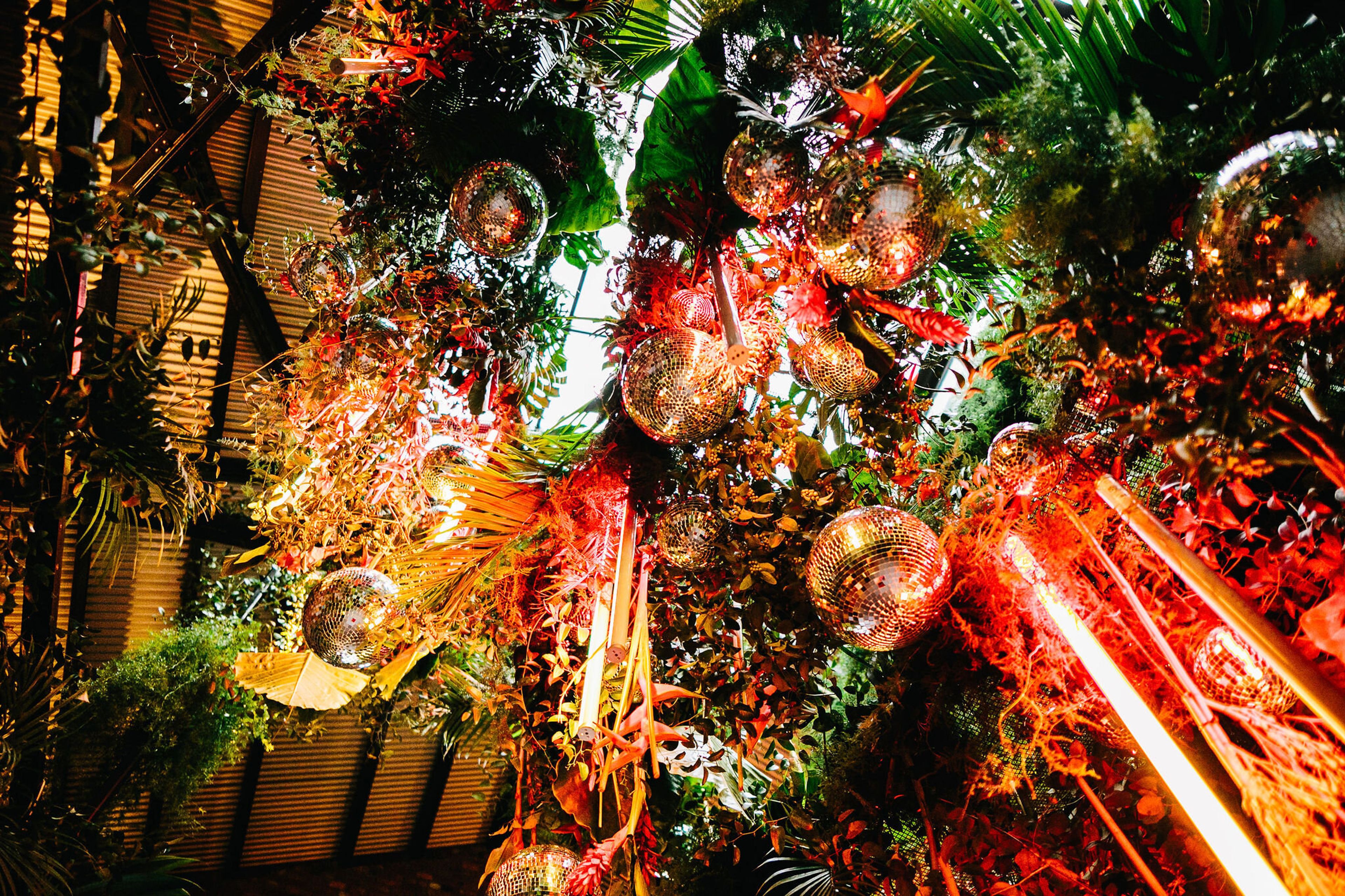 Cover photo of Mimosa Floral Design