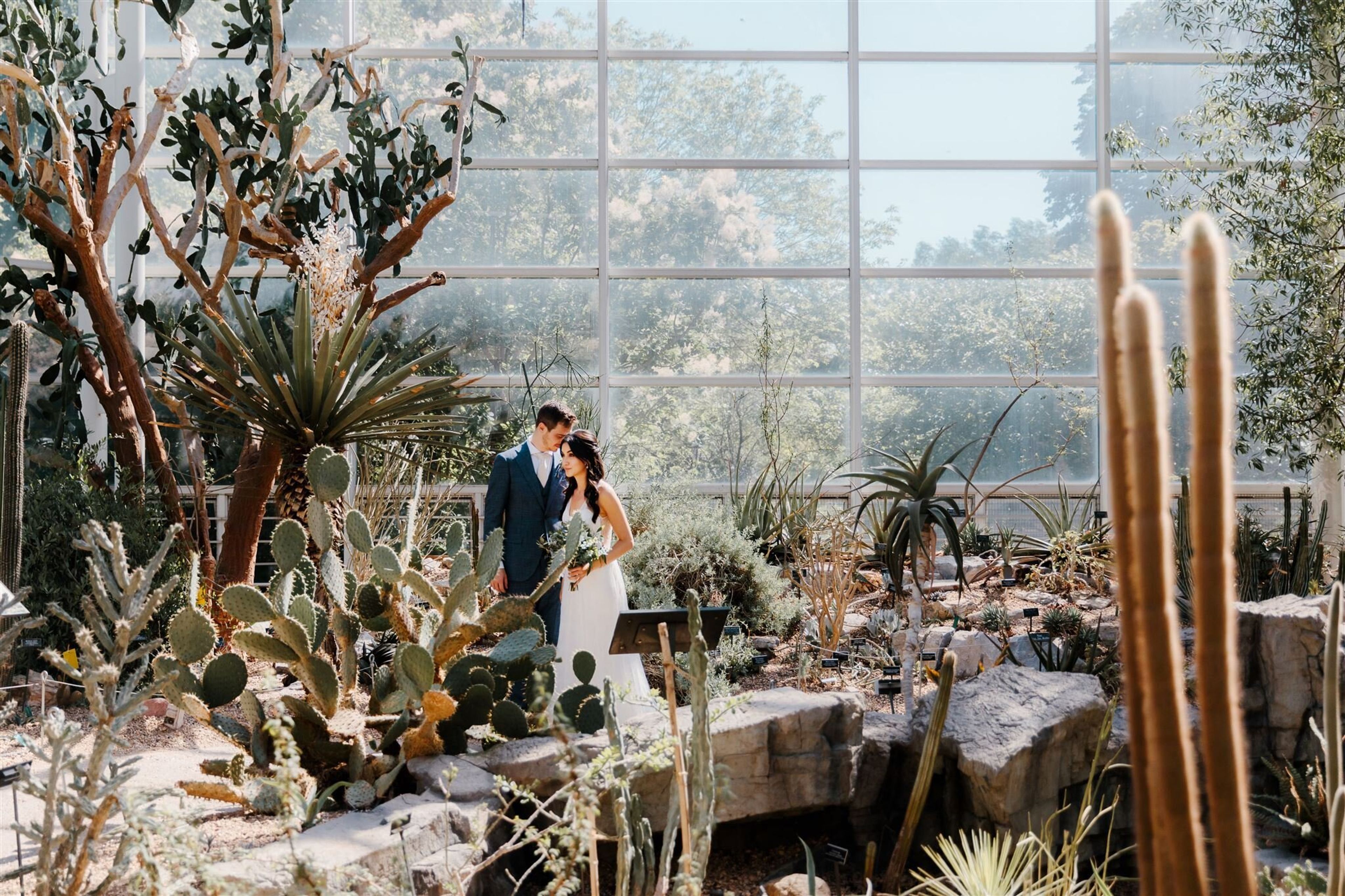 Cover photo of Mimosa Floral Design