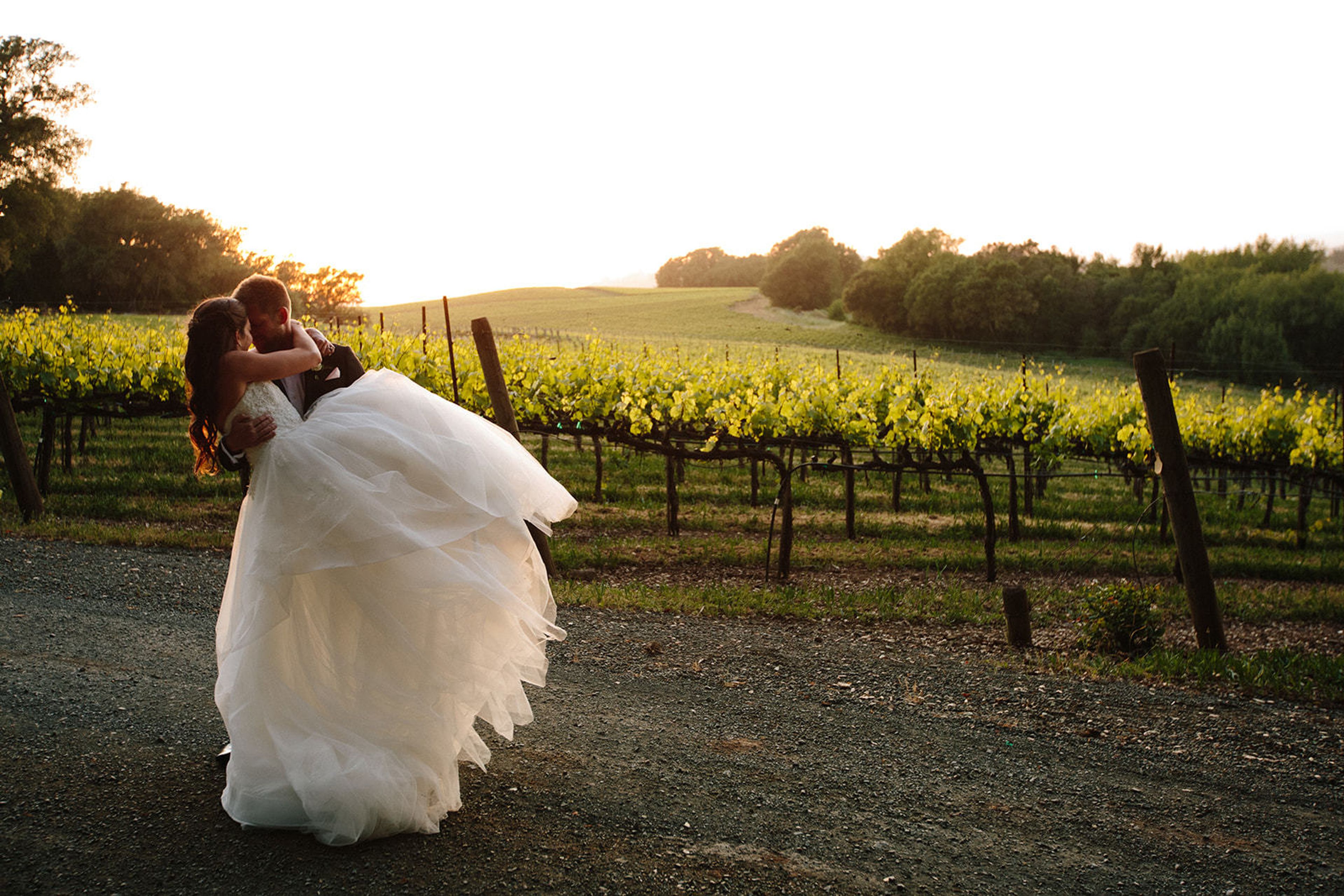 Cover photo of Marilyn Ambra Weddings and Events