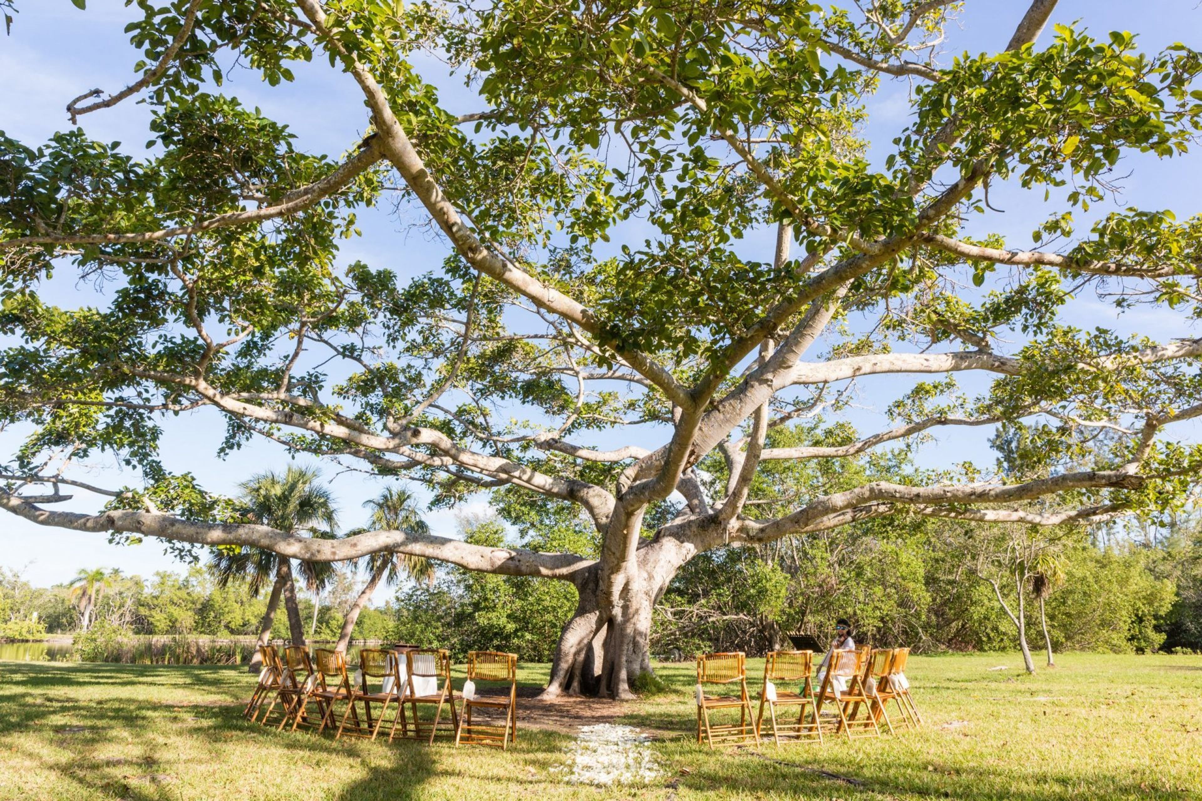 Cover photo of Matheson Hammock Park