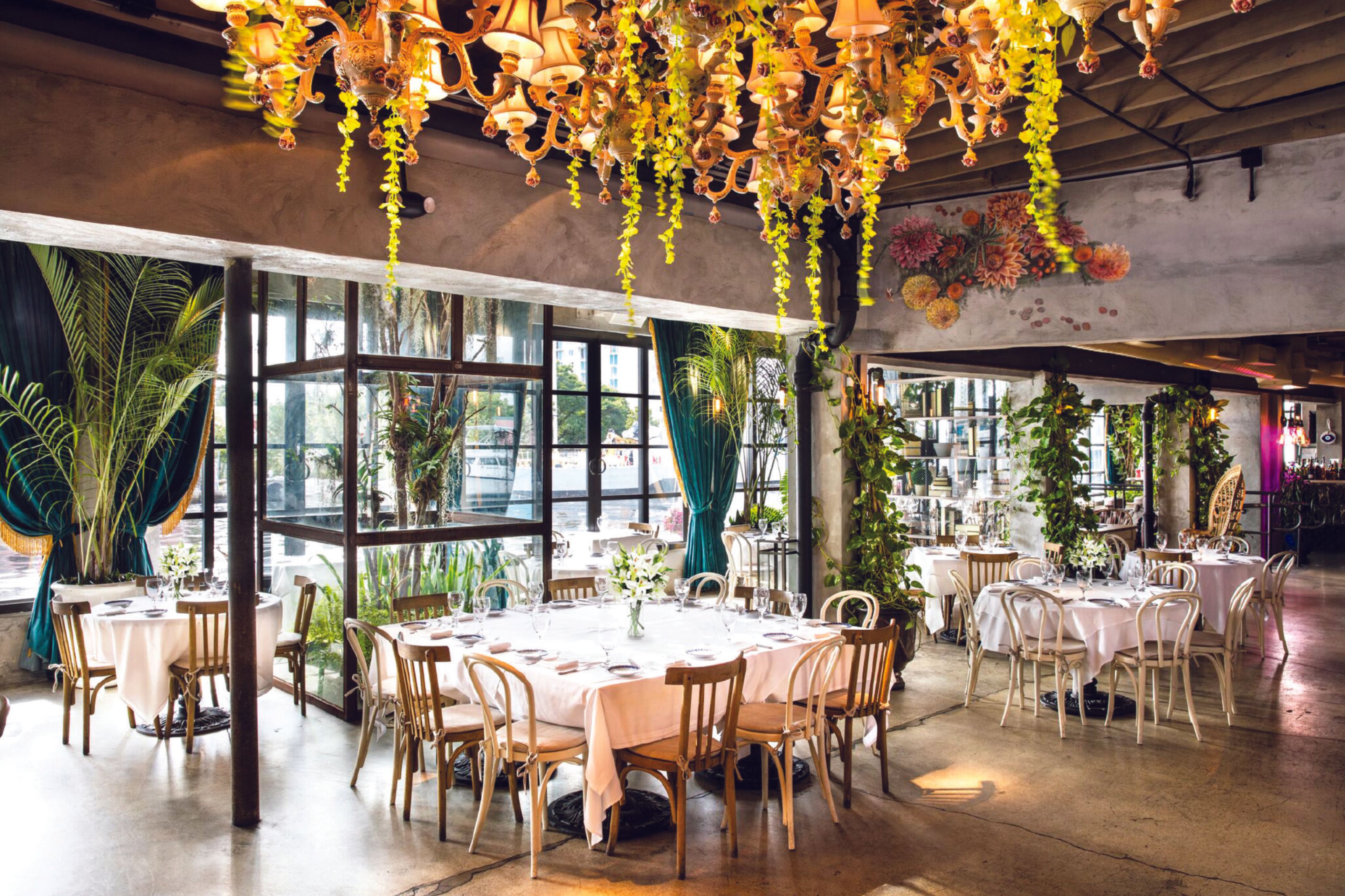 Cover photo of Kiki on the River