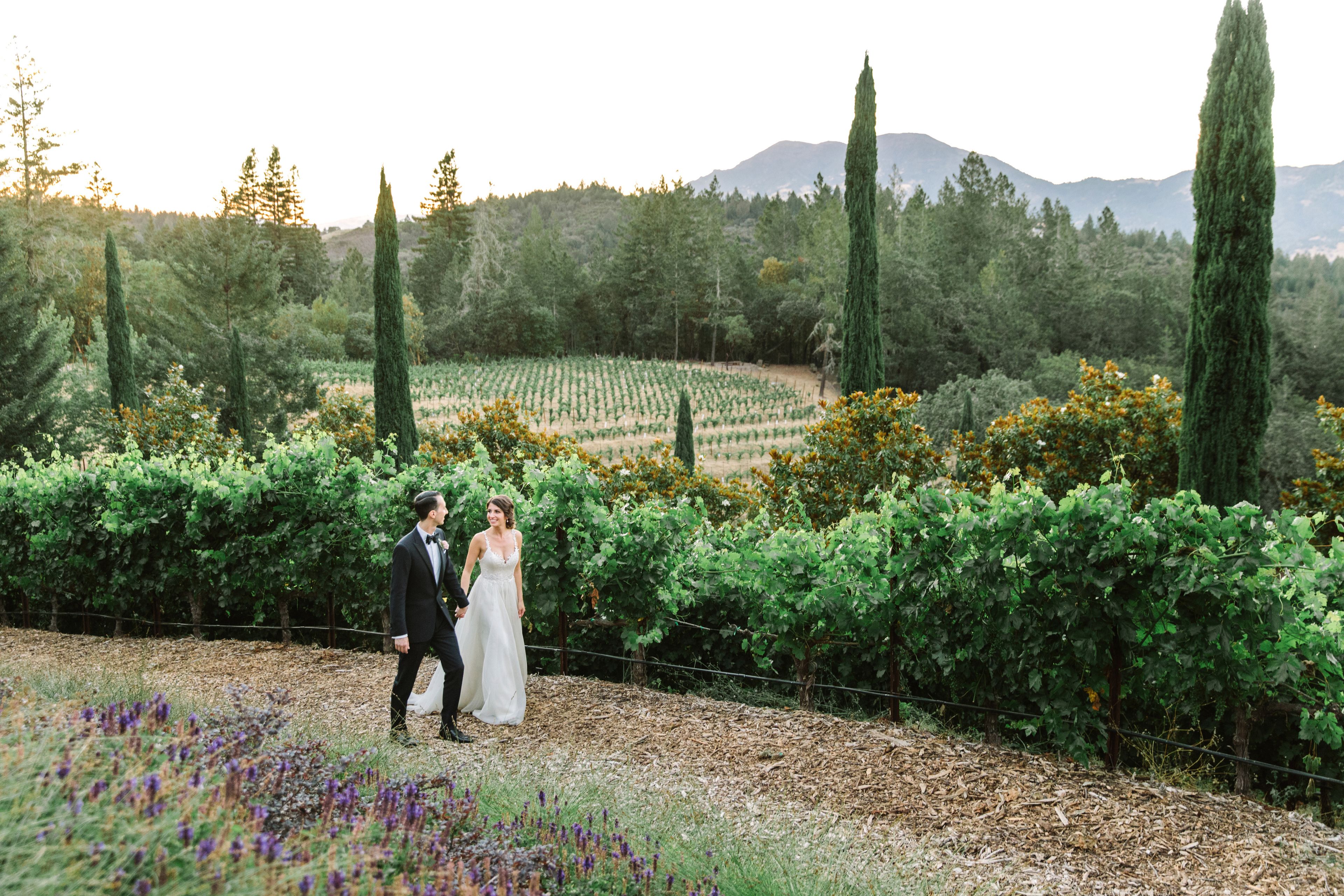 Cover photo of Vineyard Estate