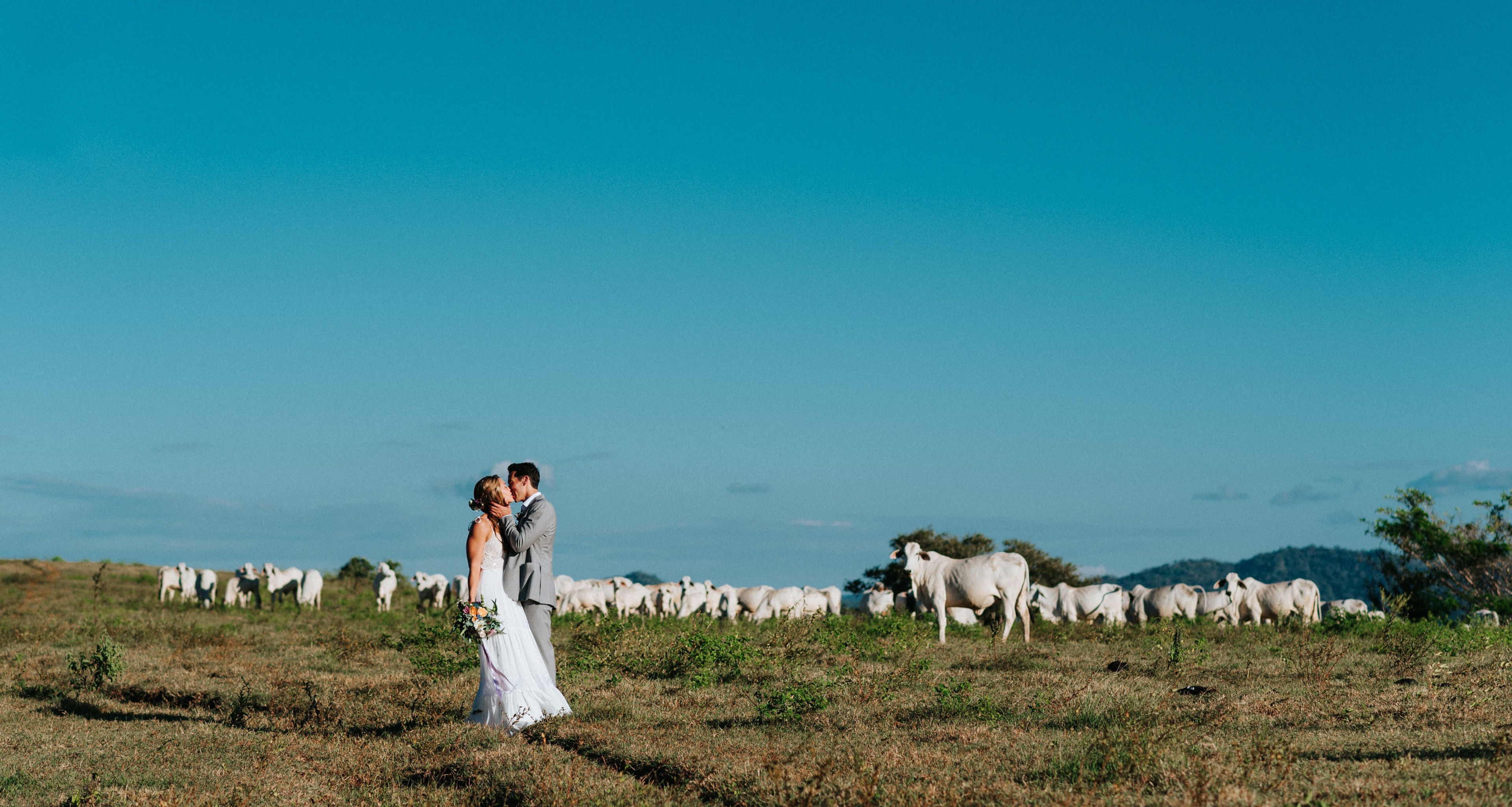 Cover photo of Four Nineteen Weddings