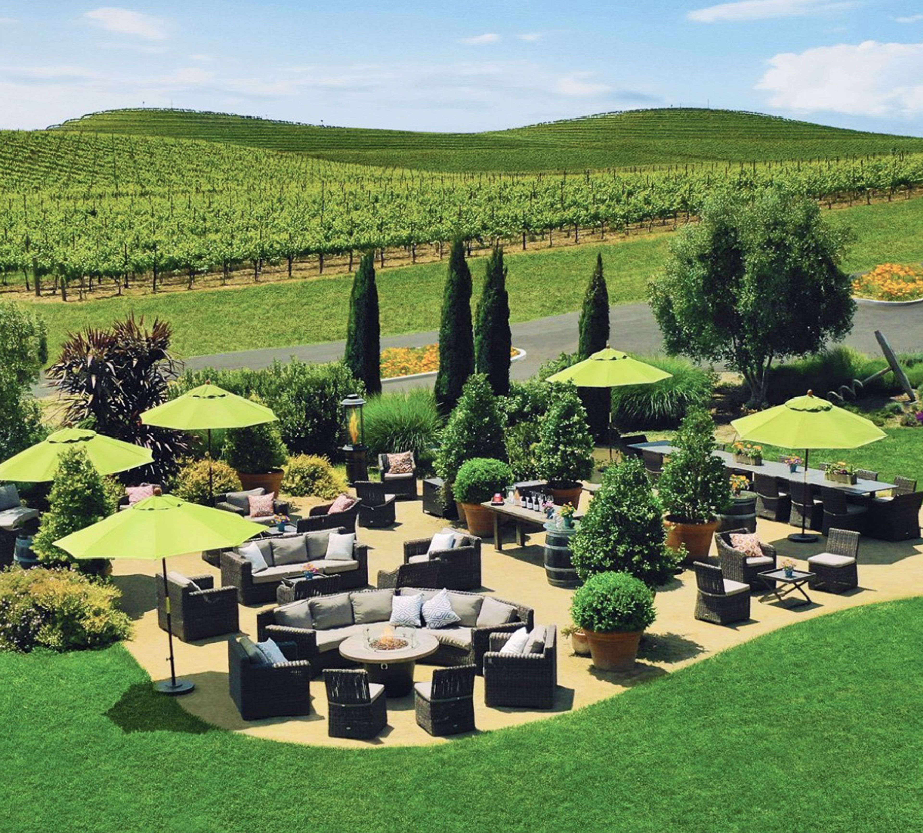 Cover photo of Bouchaine