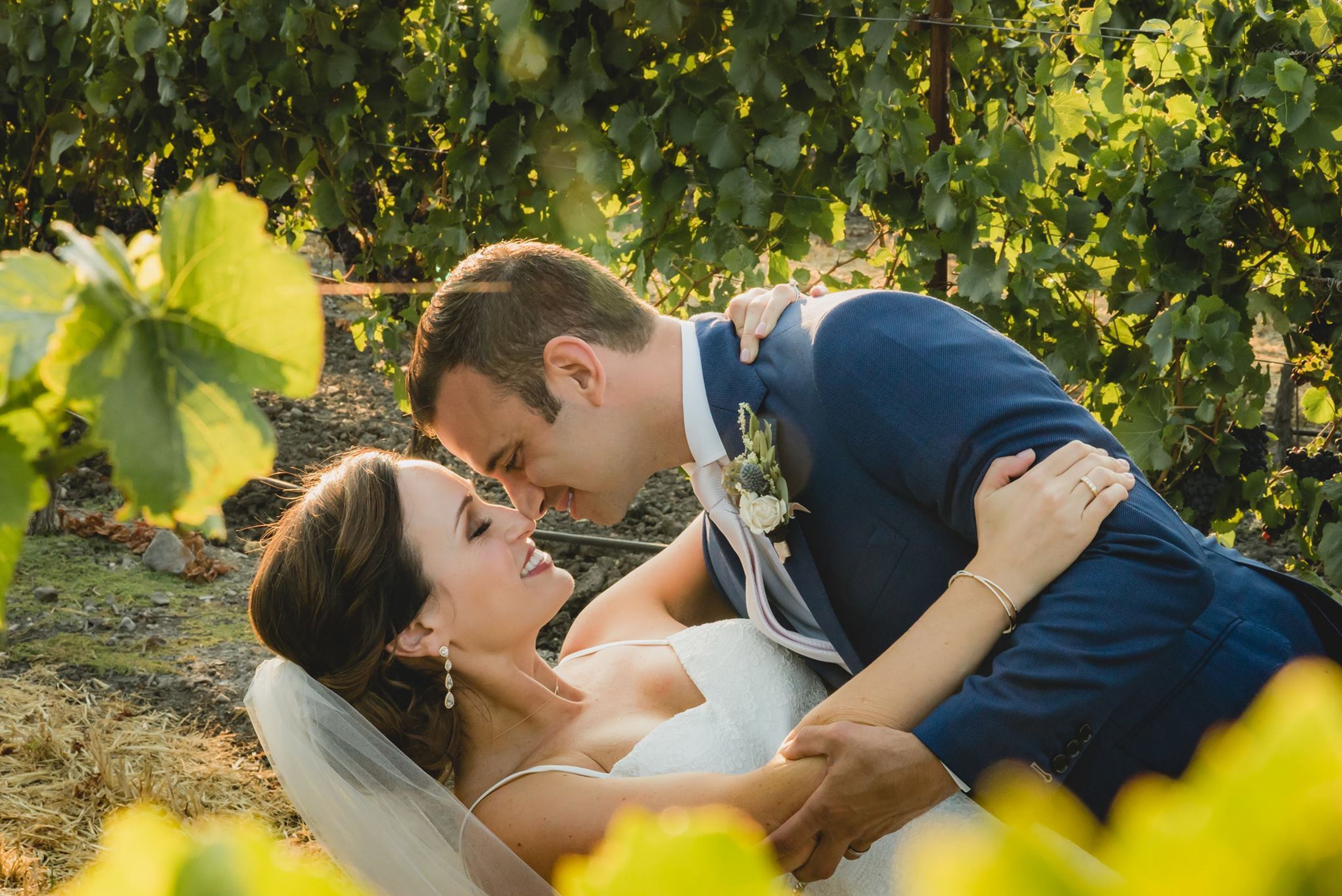 Cover photo of Ybarra Events