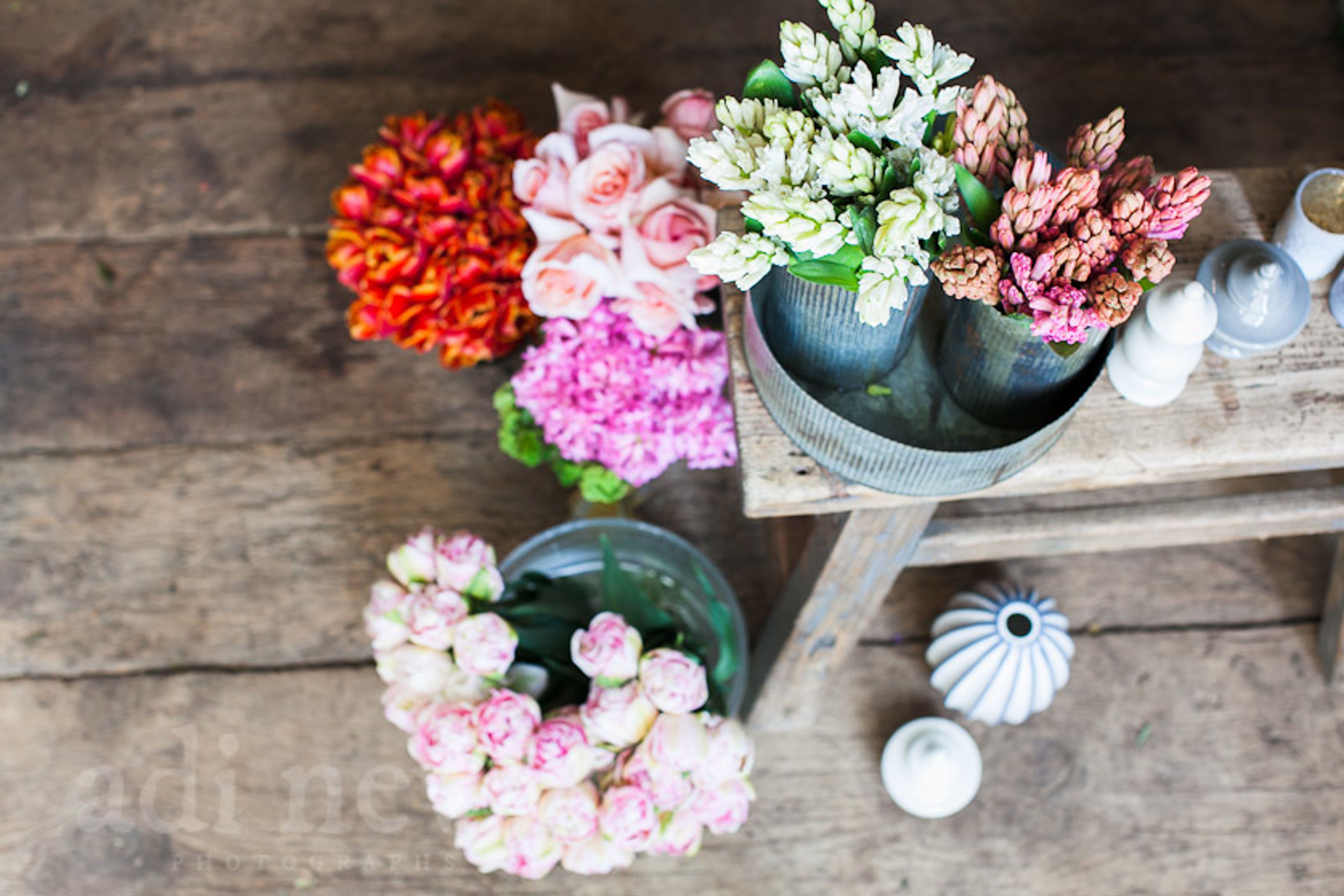 Cover photo of Ornamento