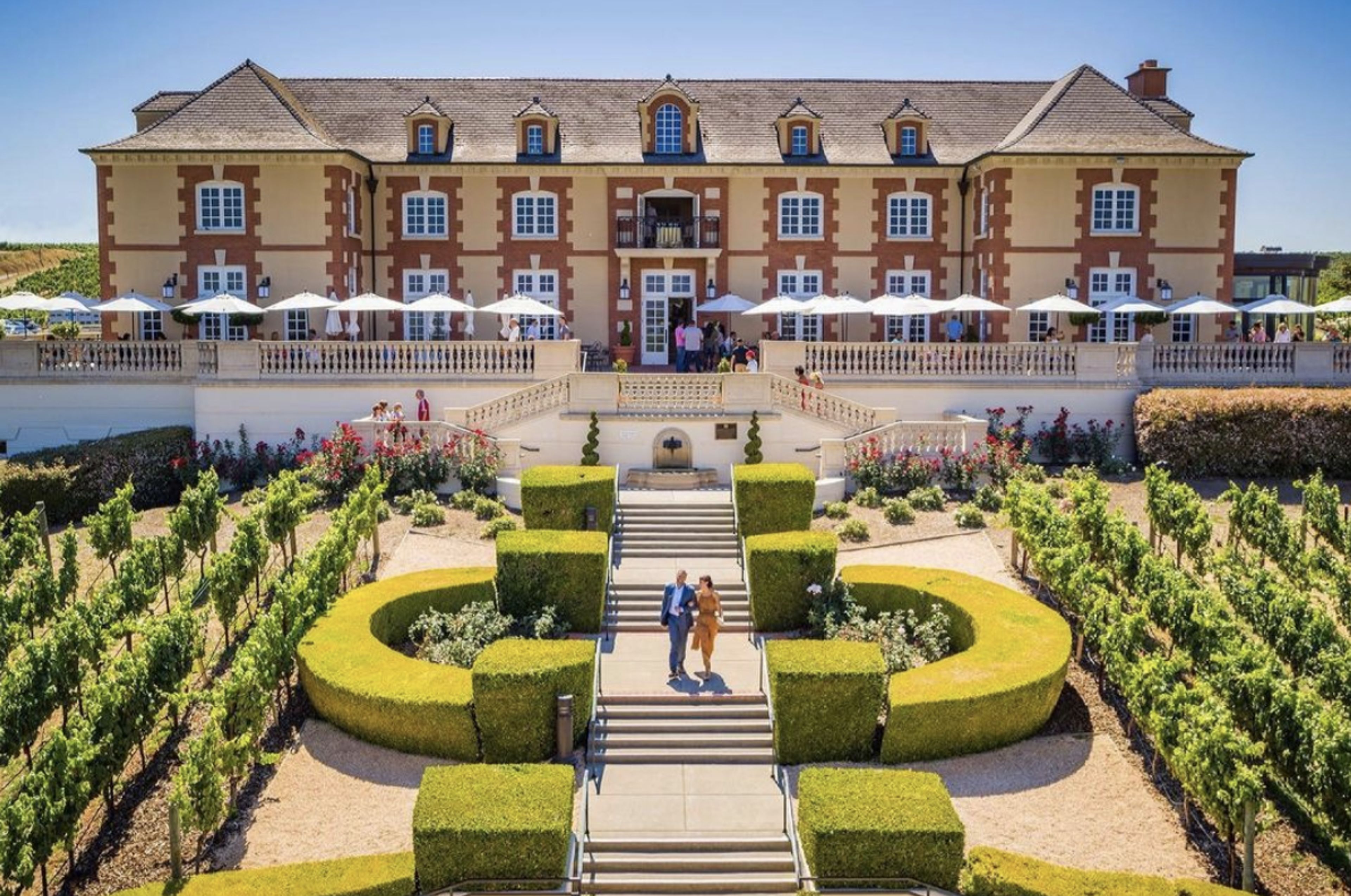 Cover photo of Domaine Carneros