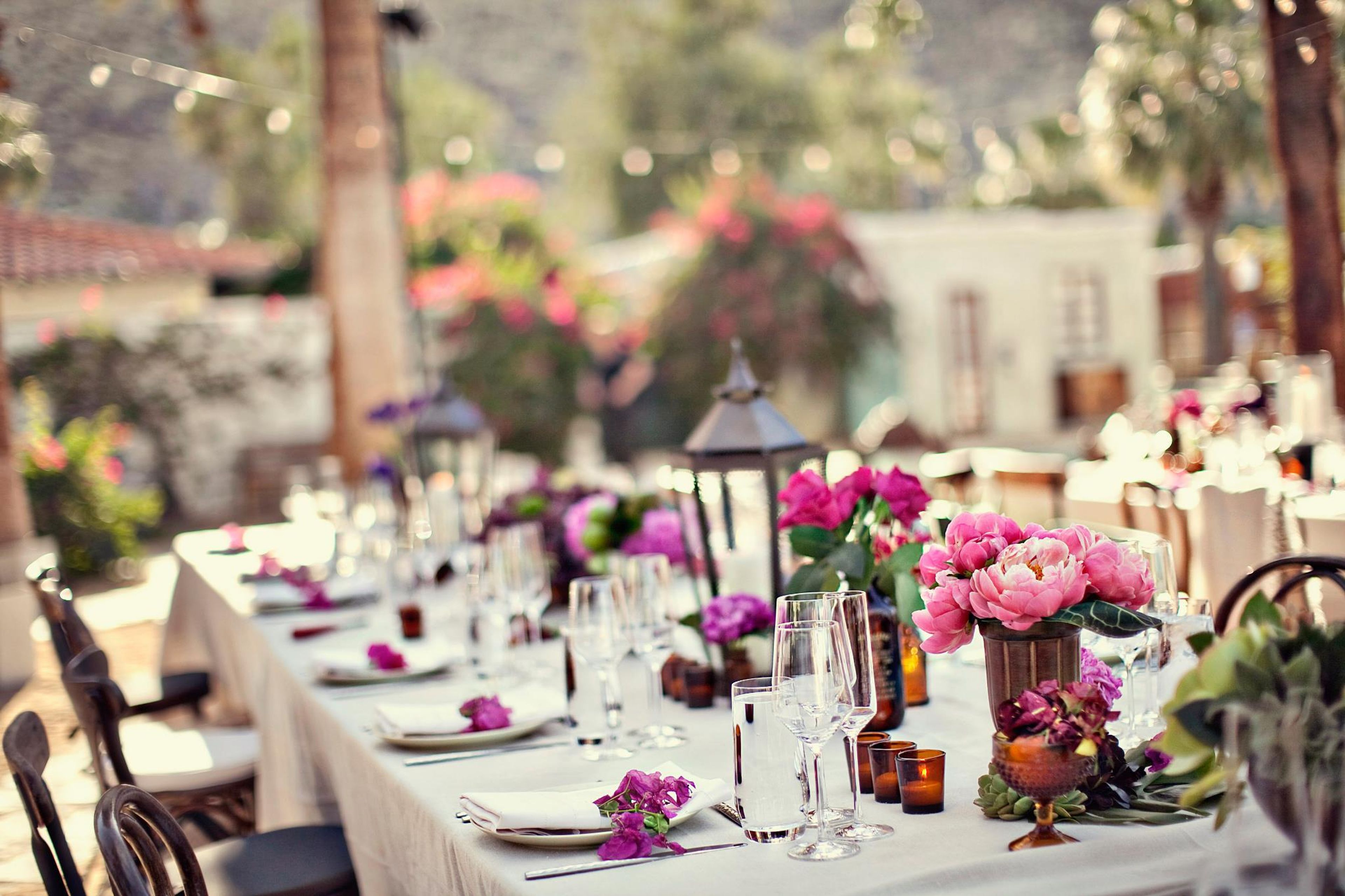 Cover photo of Amy Kaneko Events