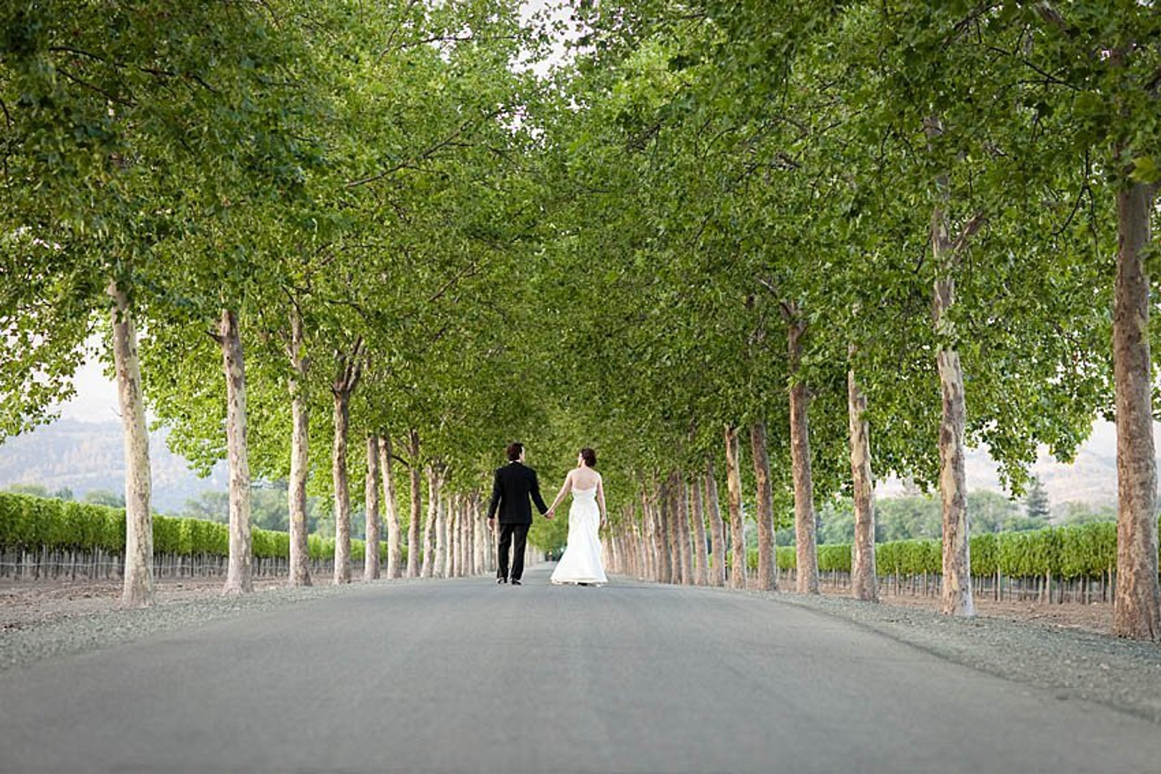 Cover photo of Stacy McCain Event Planning