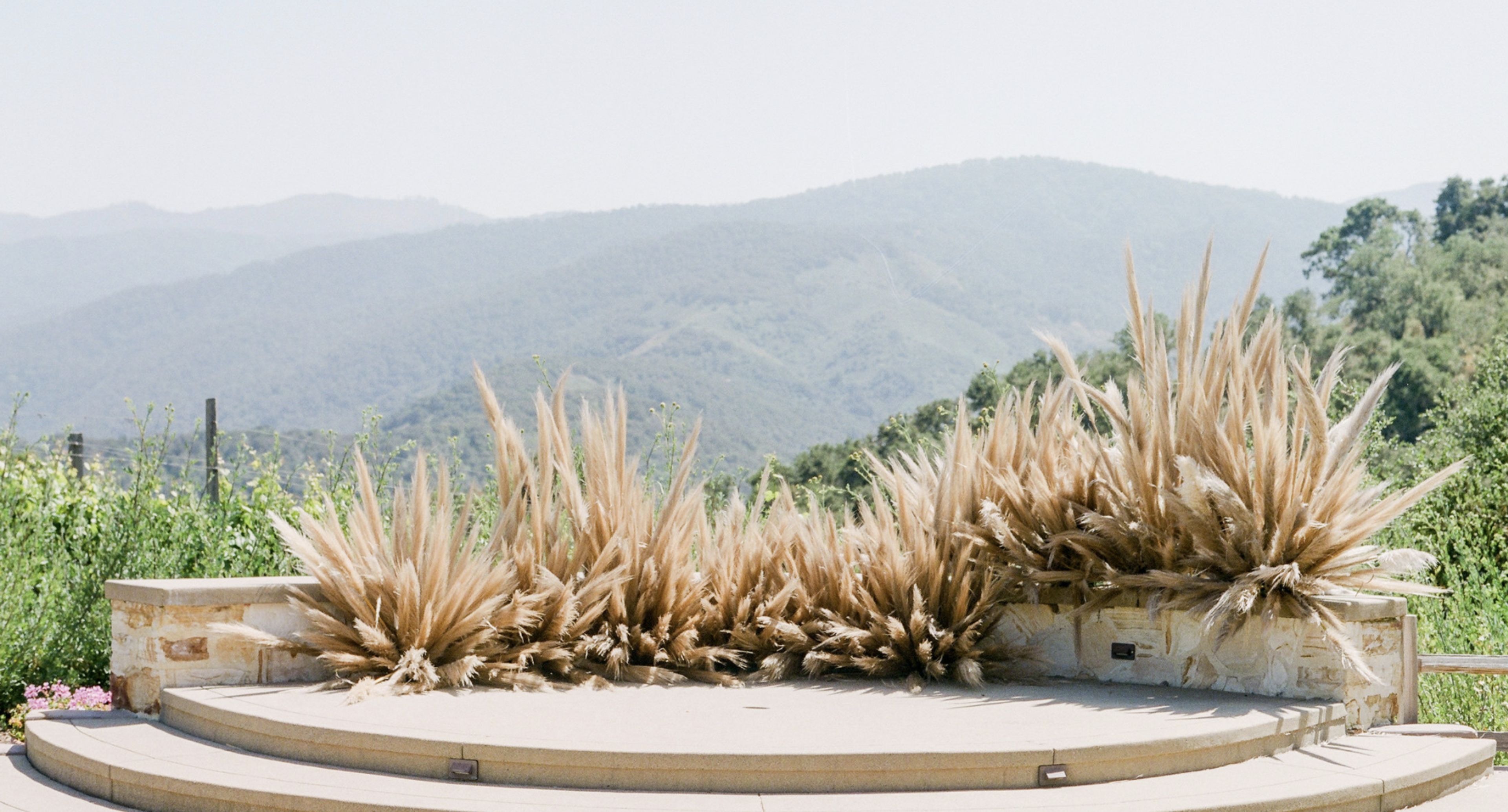 Cover photo of Ruby & Rose